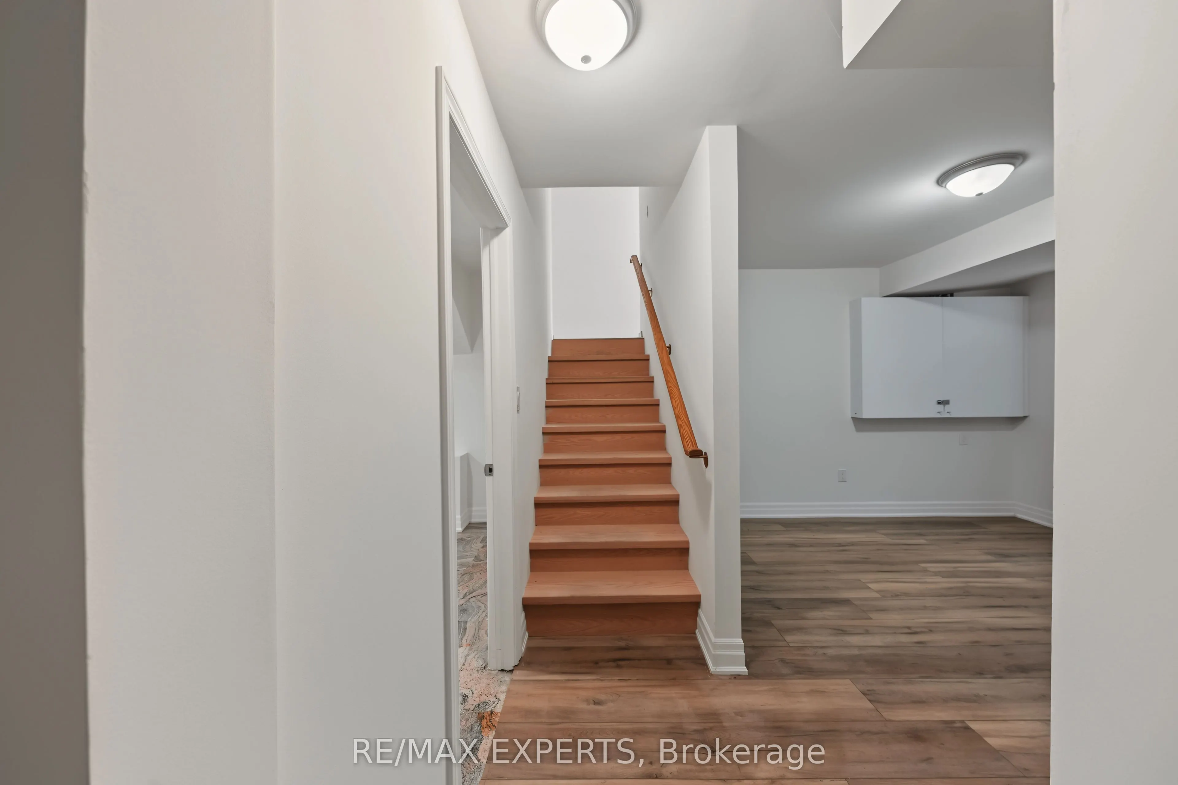 99 Dianawood Ridge #Basement