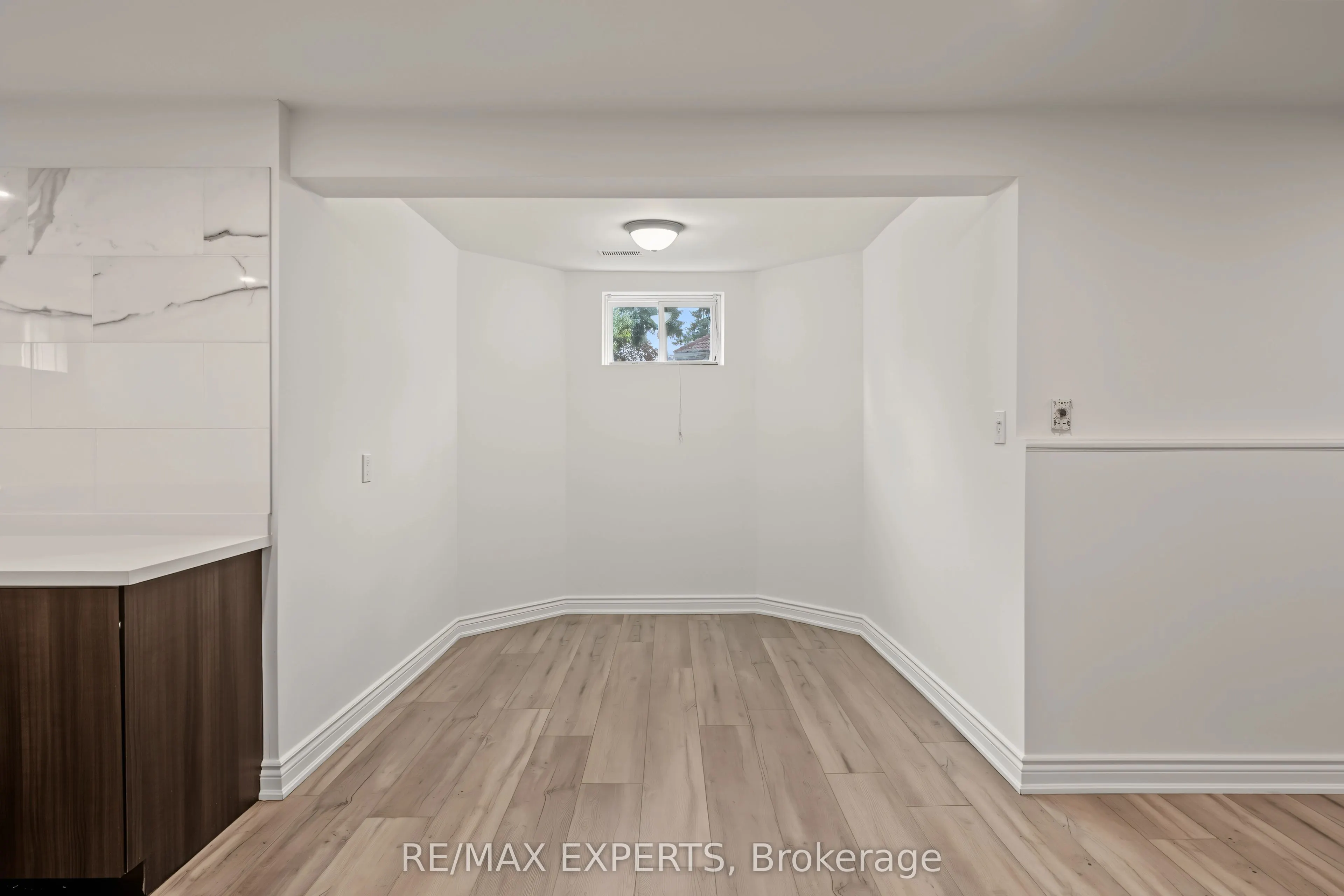 99 Dianawood Ridge #Basement