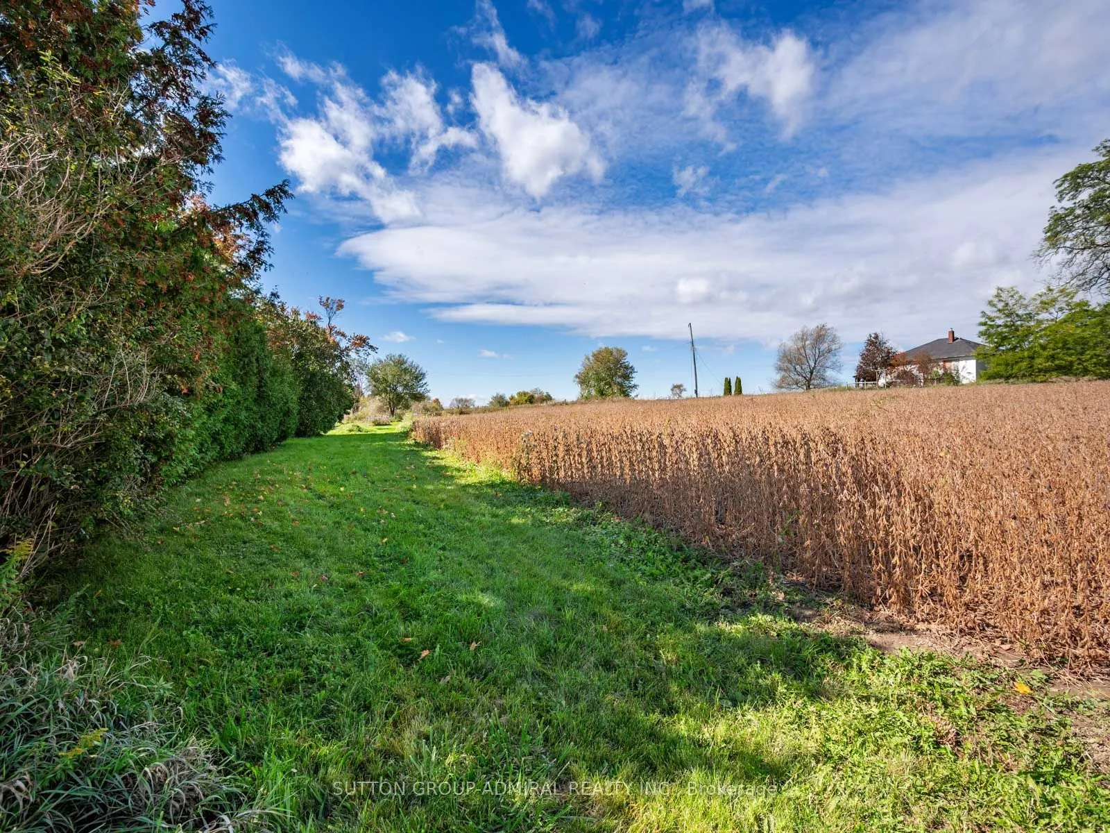 4122 County 88 Road