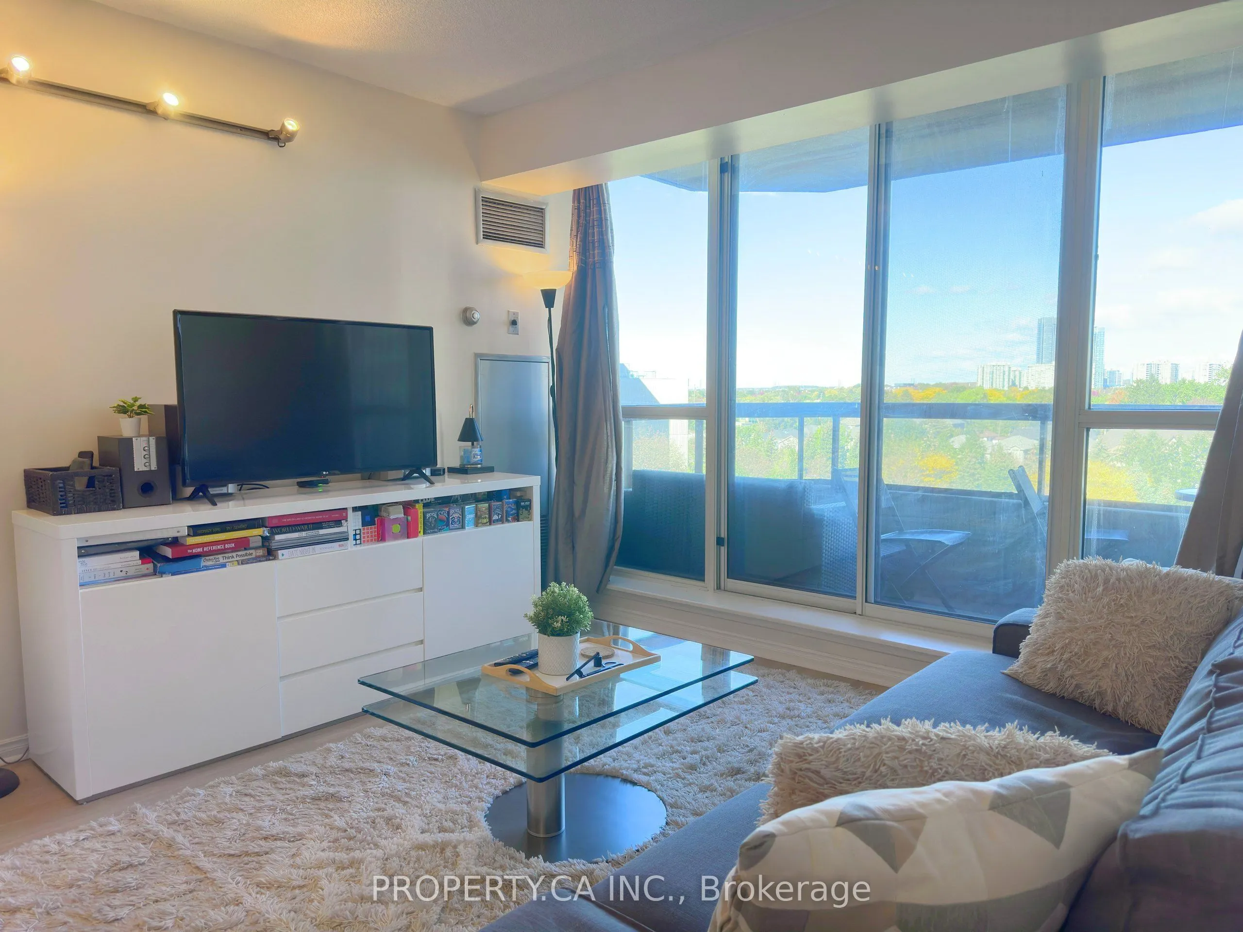 91 Townsgate Drive #701