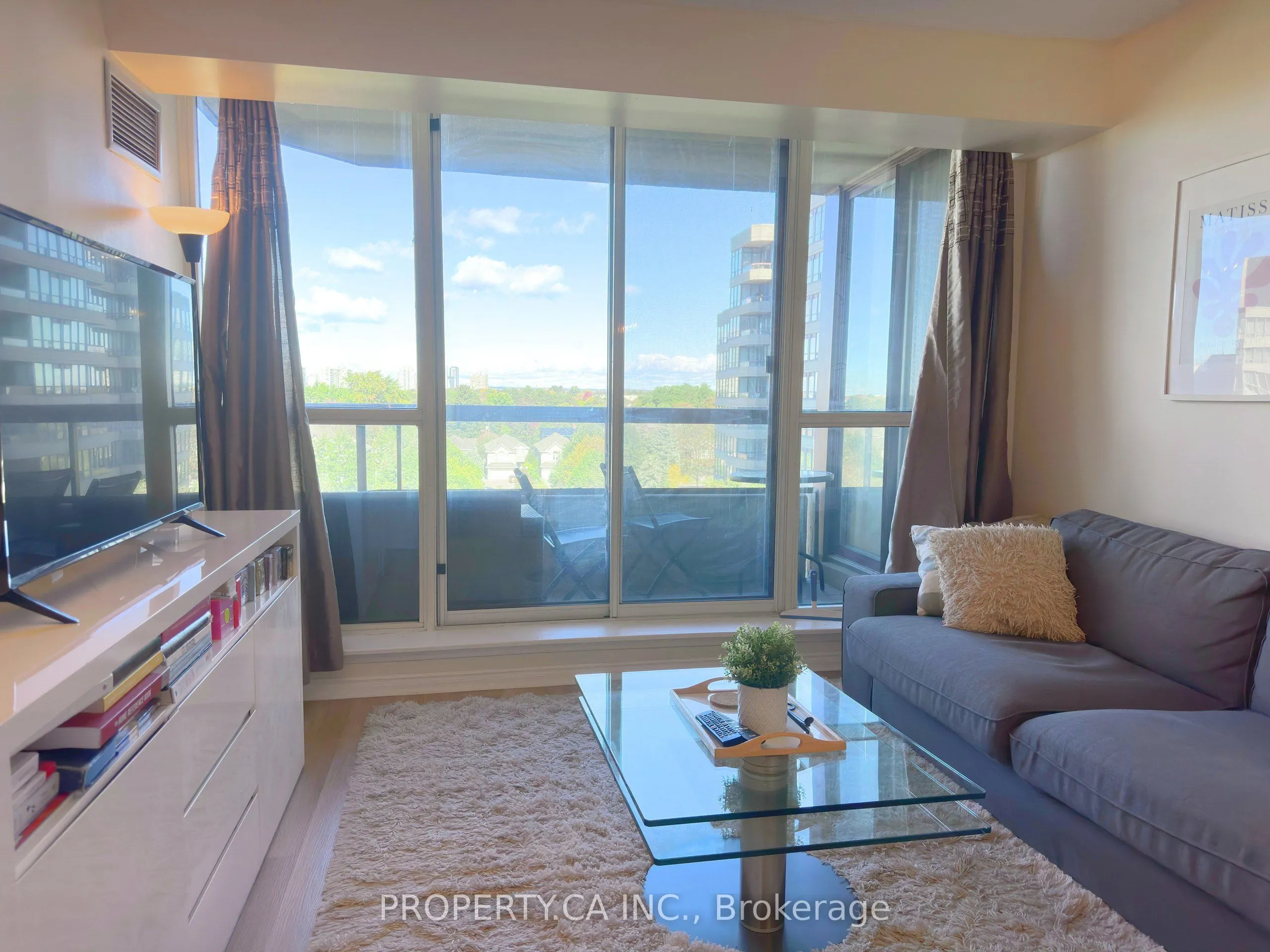 91 Townsgate Drive #701