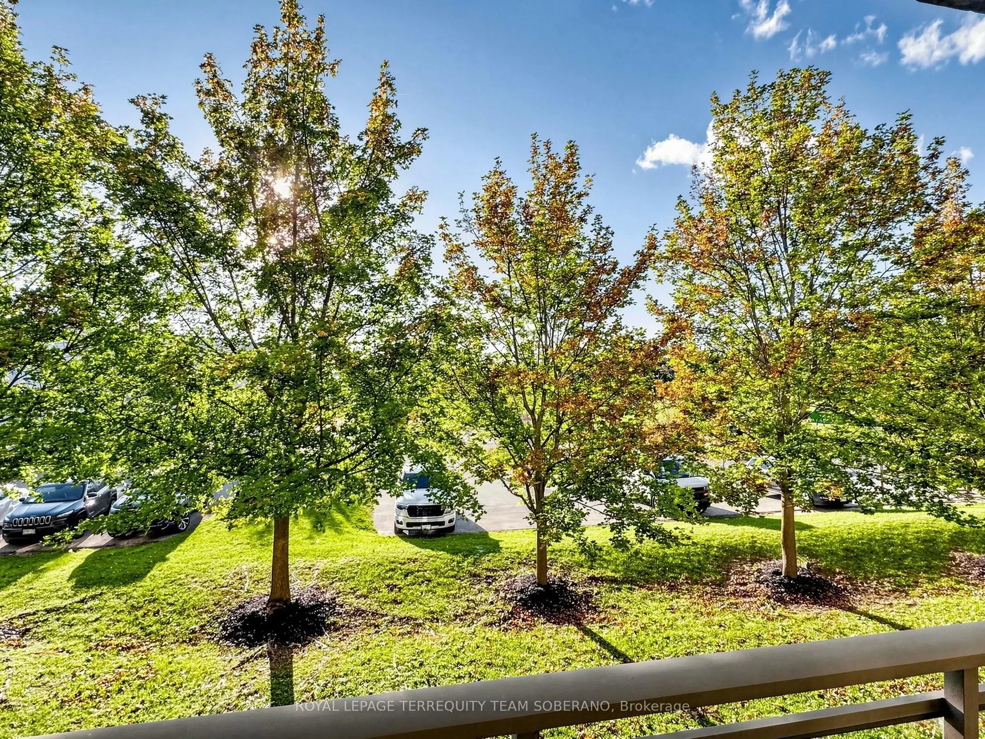 2506 Rutherford Road #212
