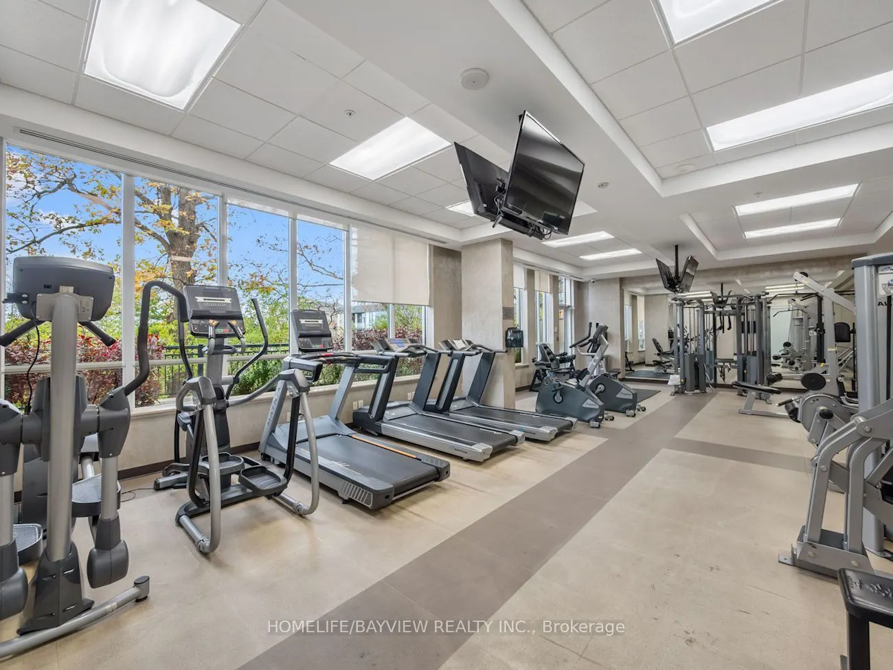 95 North Park Road #216