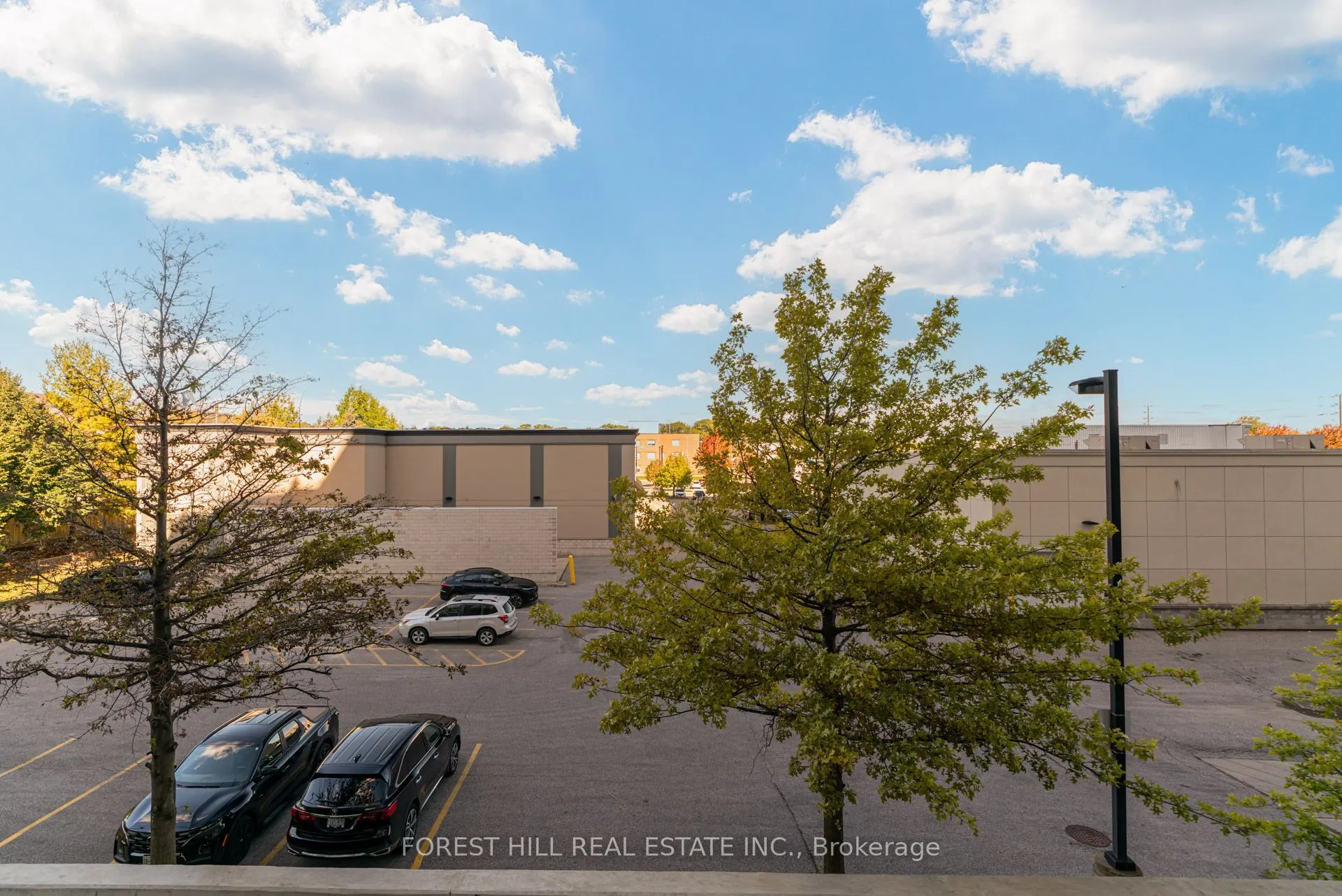 8 Beverley Glen Boulevard #217
