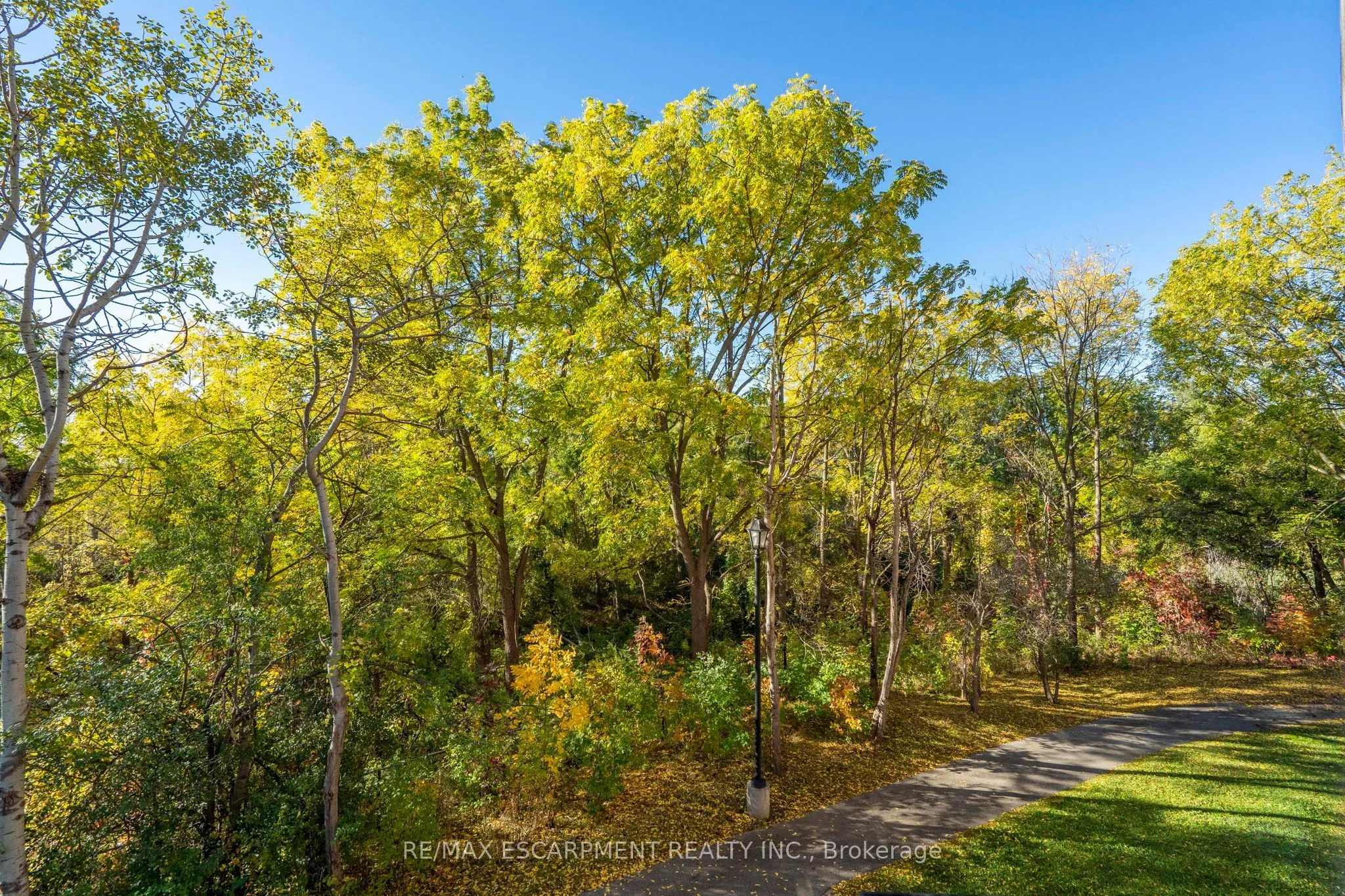 7373 Martingrove Road #223