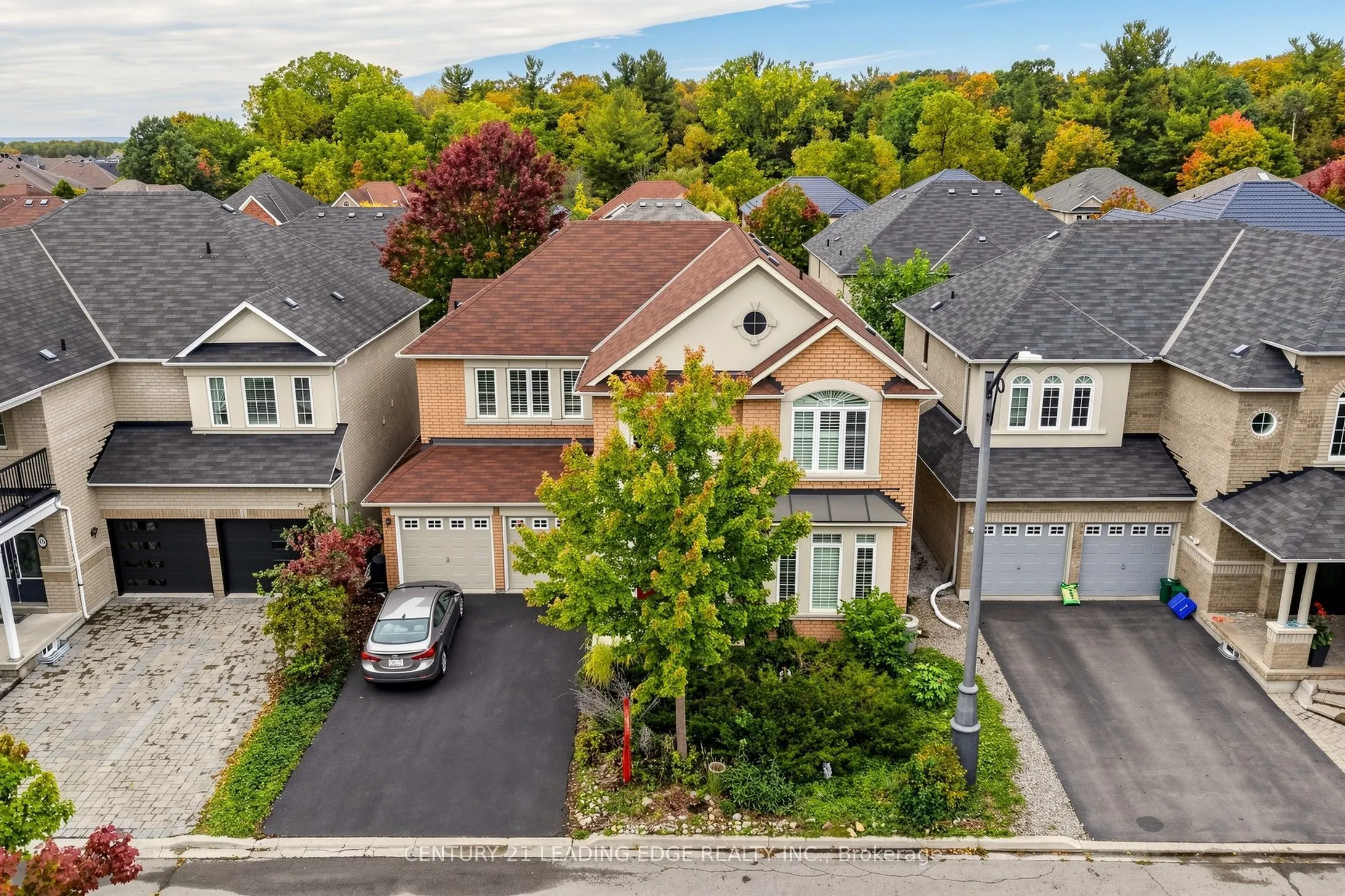 71 Josephine Road