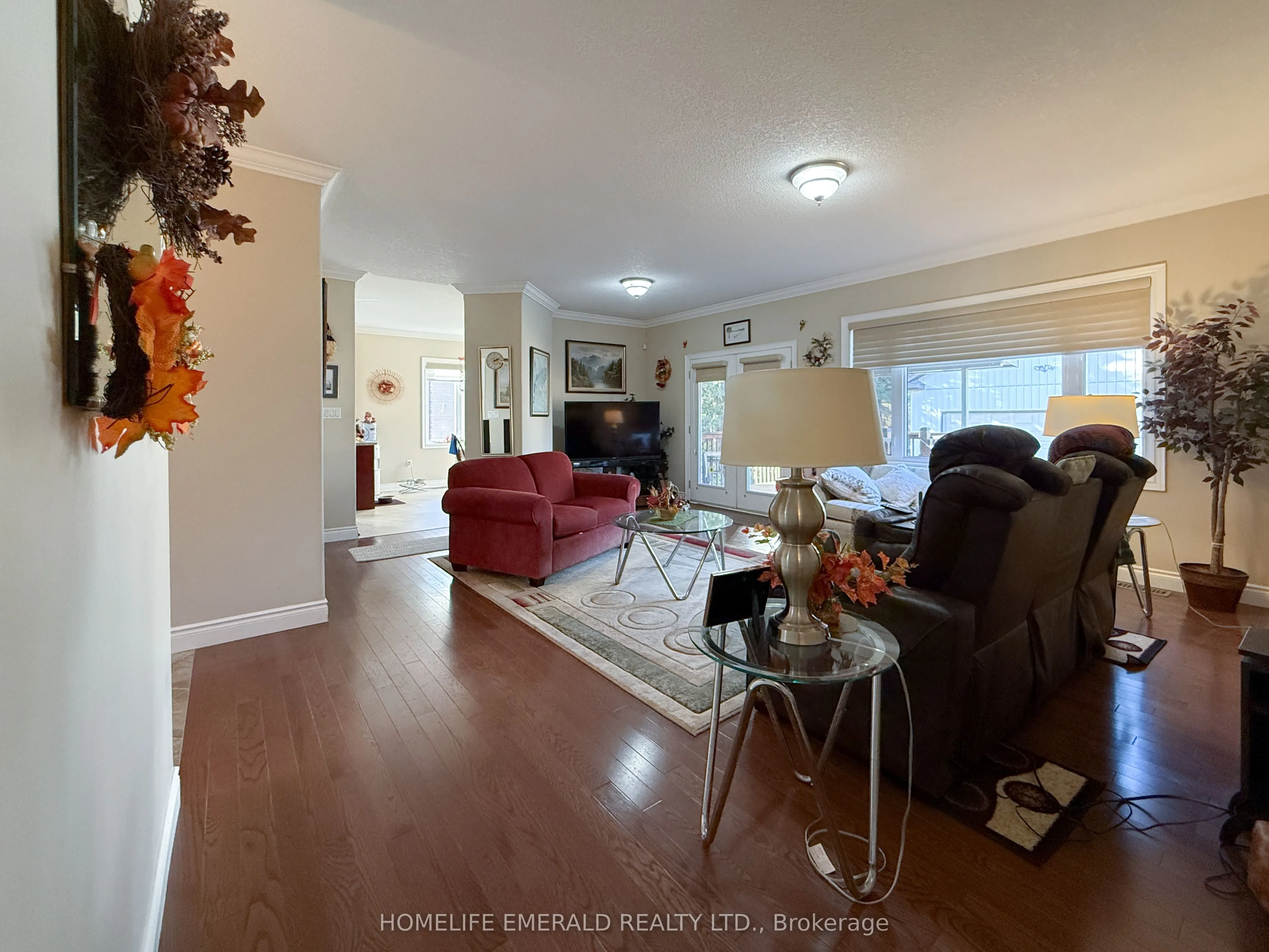 17 Tree Top Street