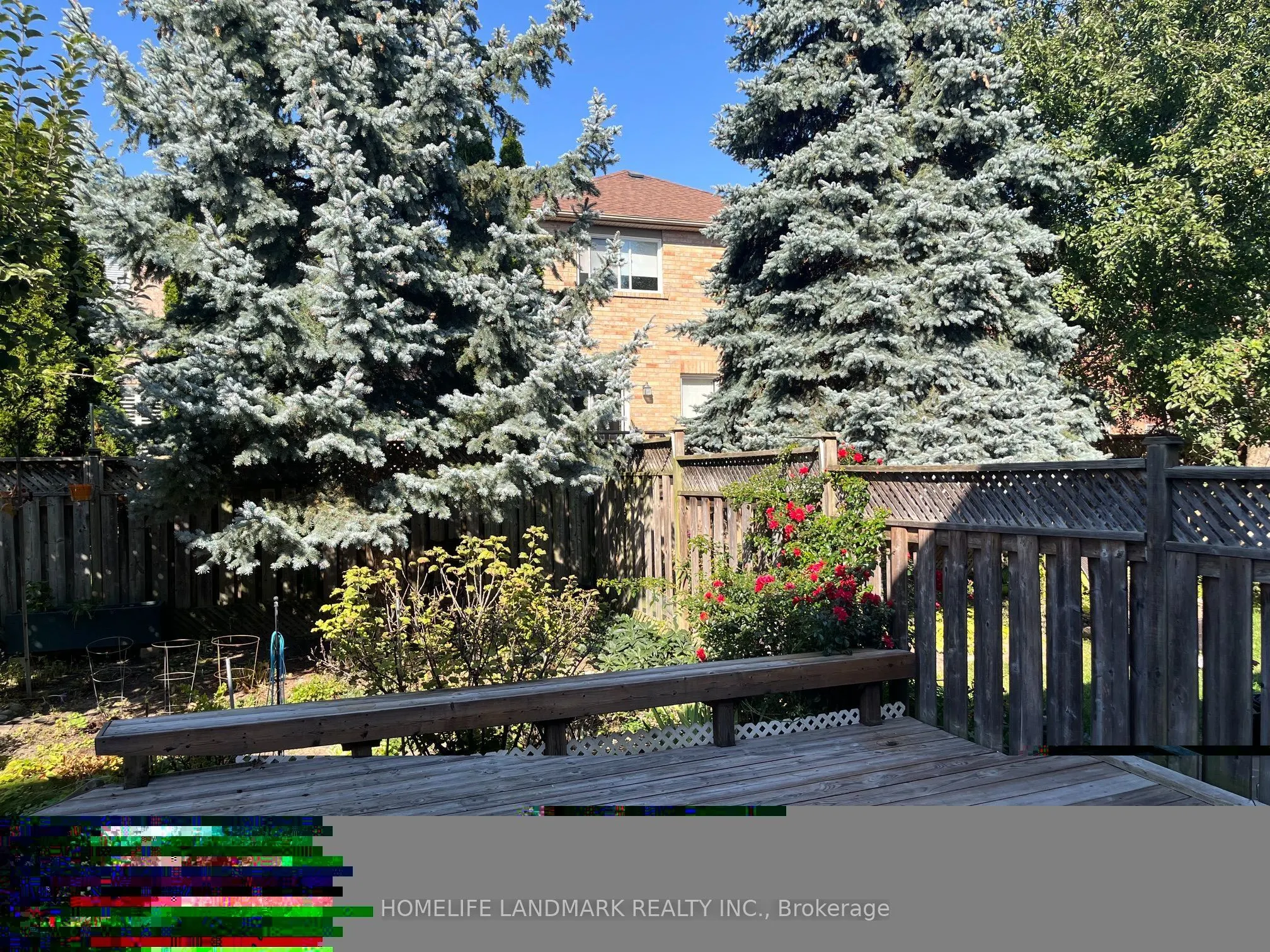 24 Gwilliam Lane
