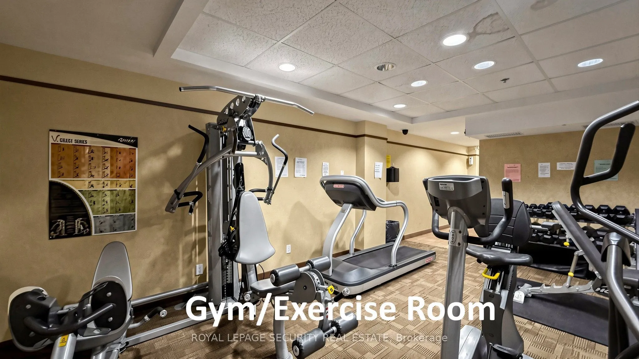 8026 Kipling Avenue #406