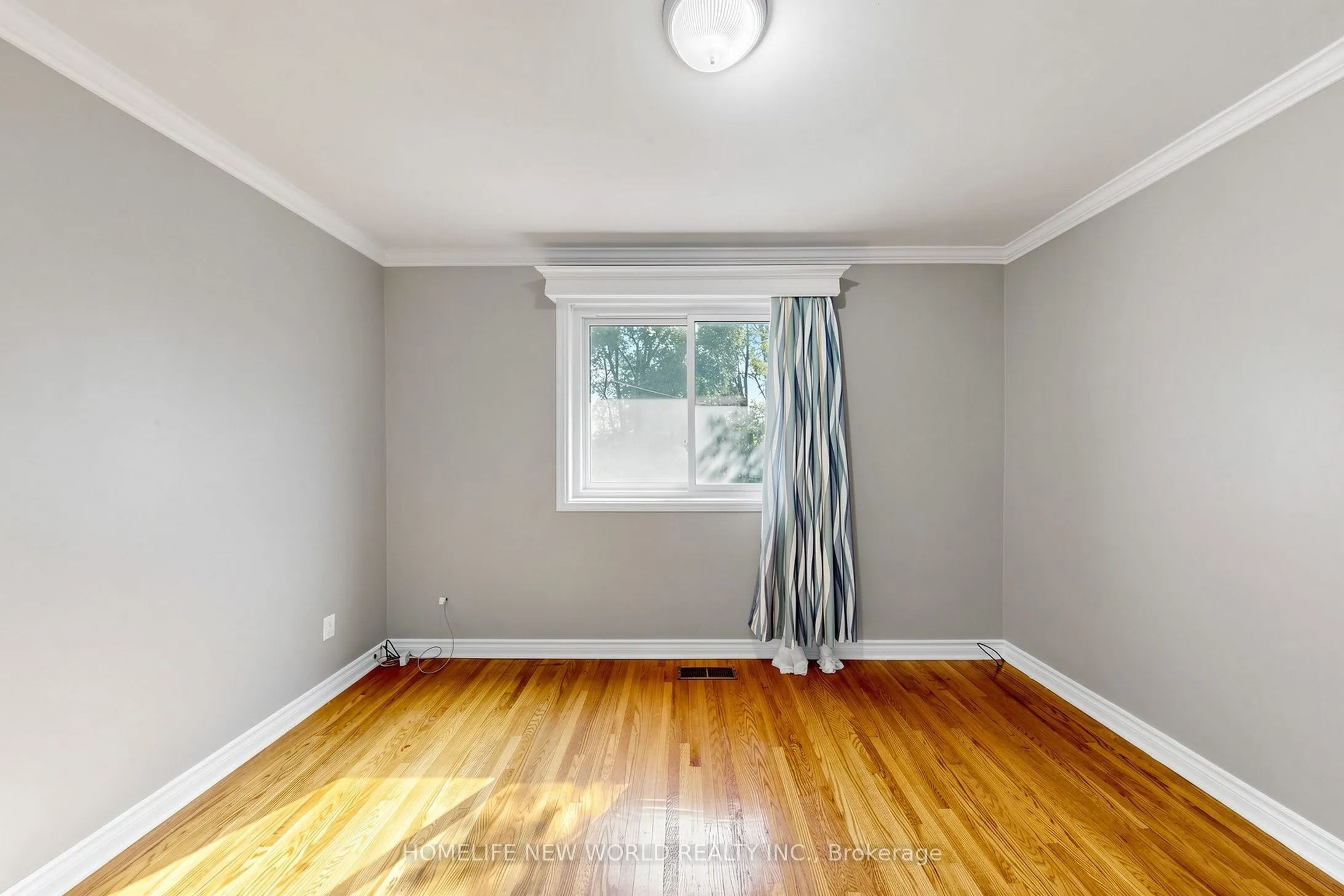 65 Walter Avenue #MAIN