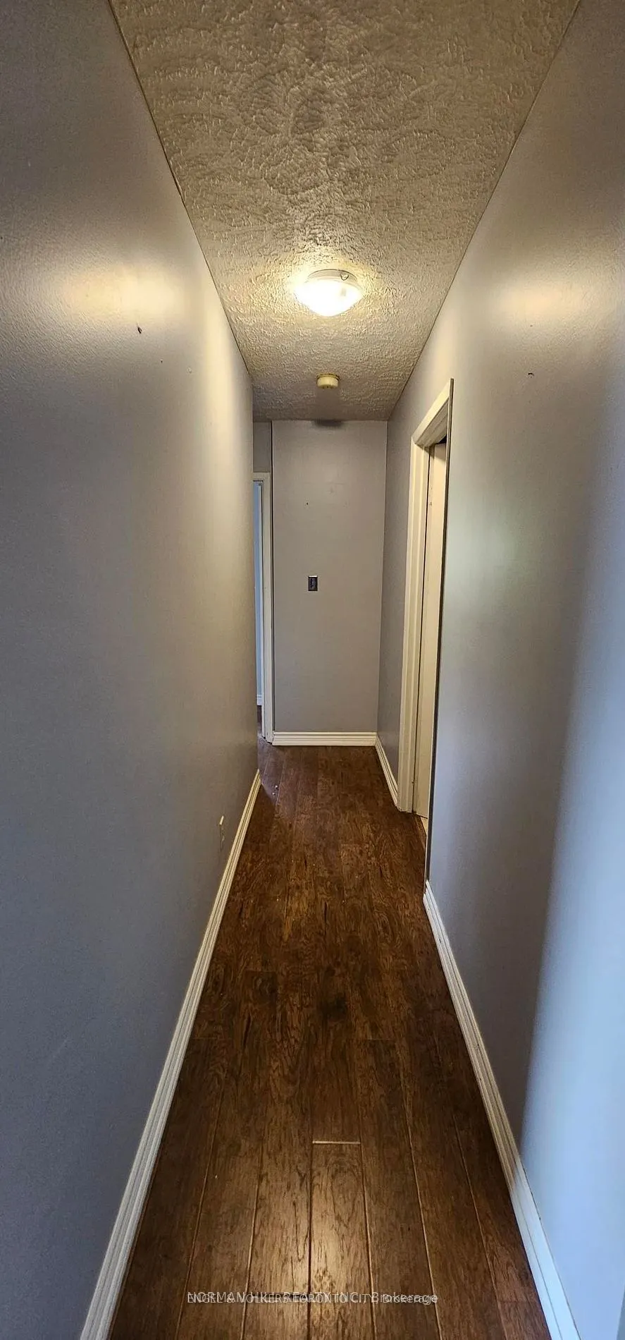 86 Curtis Street #5
