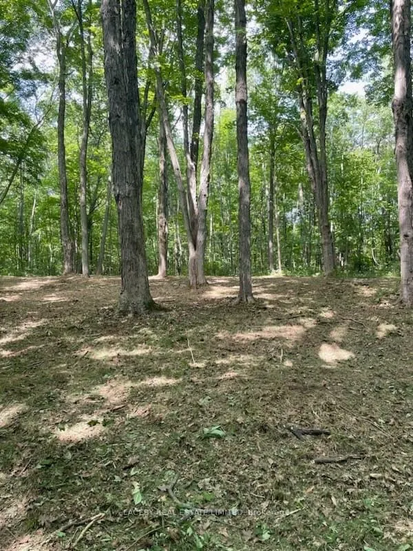 4090 17th Side Road