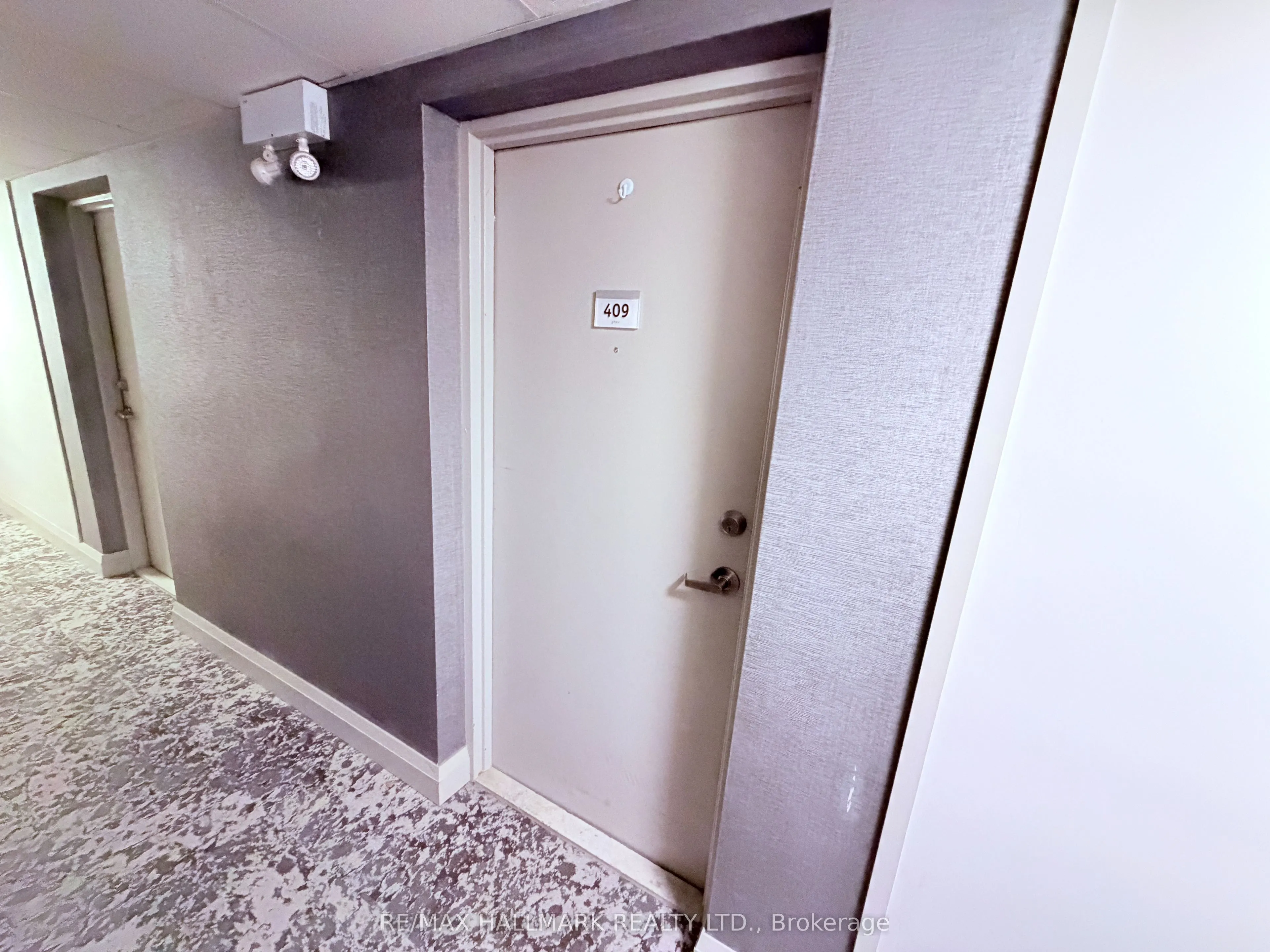 7 Albert Street #409