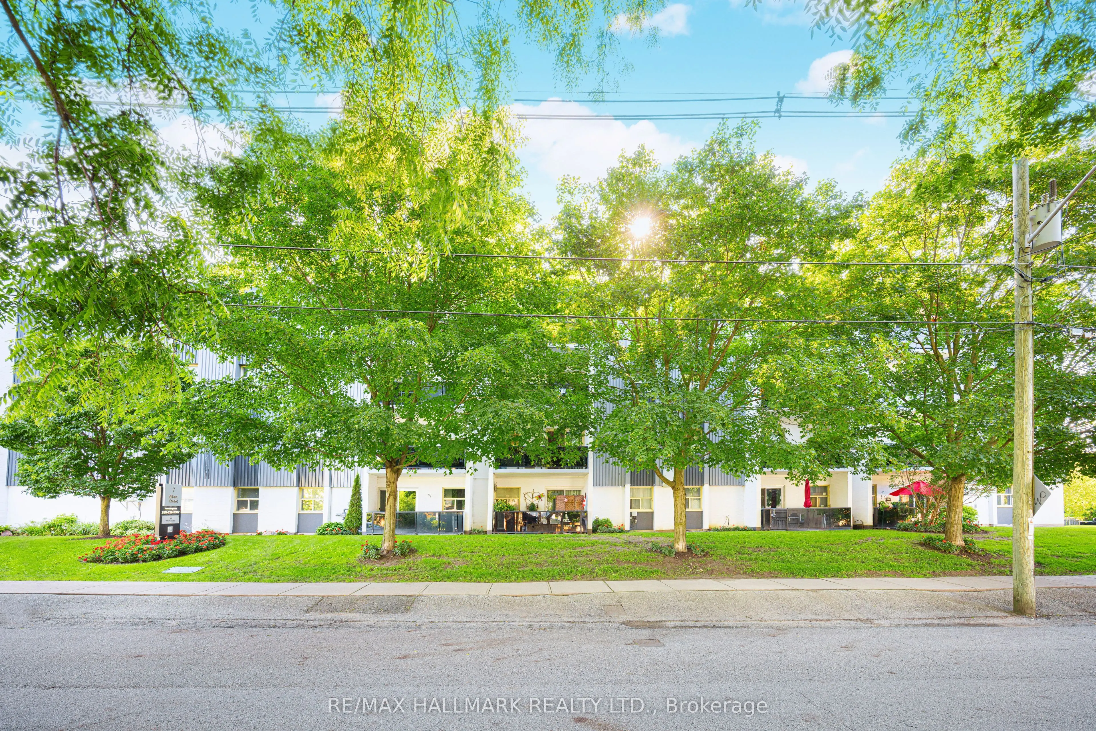 7 Albert Street #409
