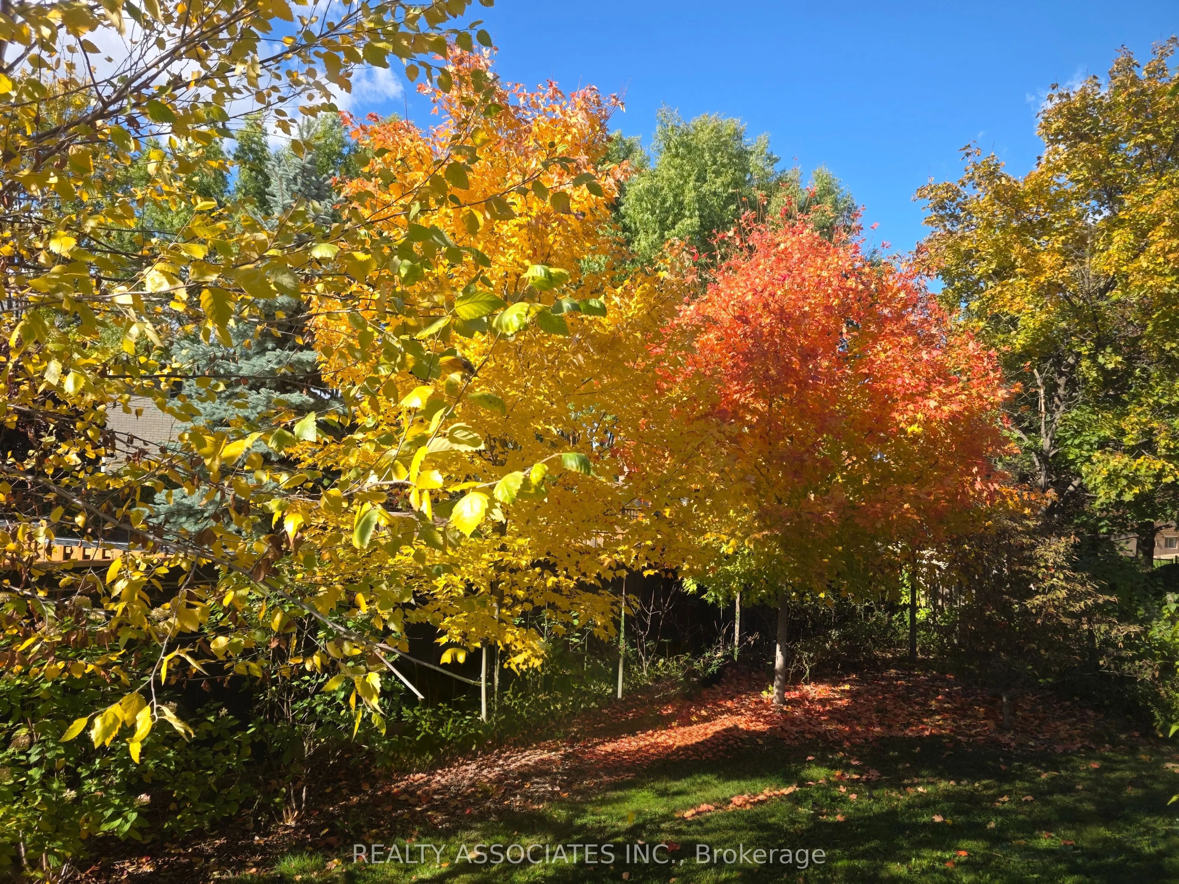 128 Coalbrook Court