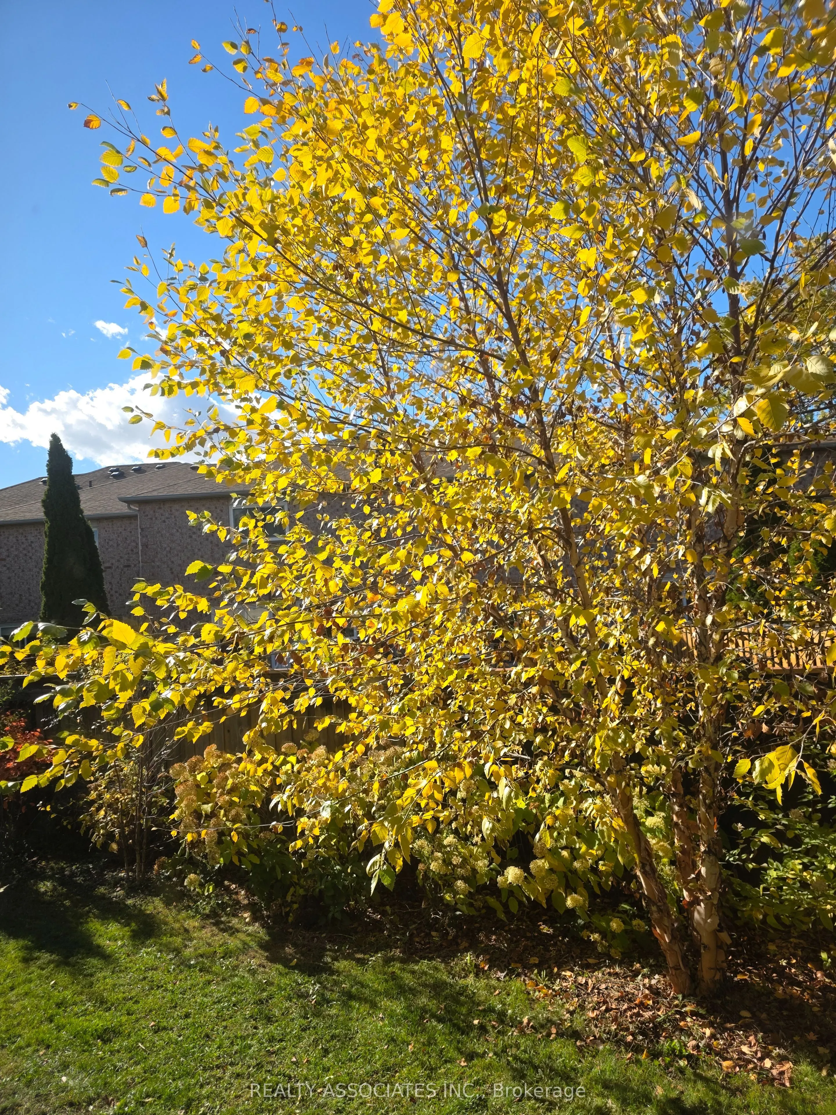 128 Coalbrook Court