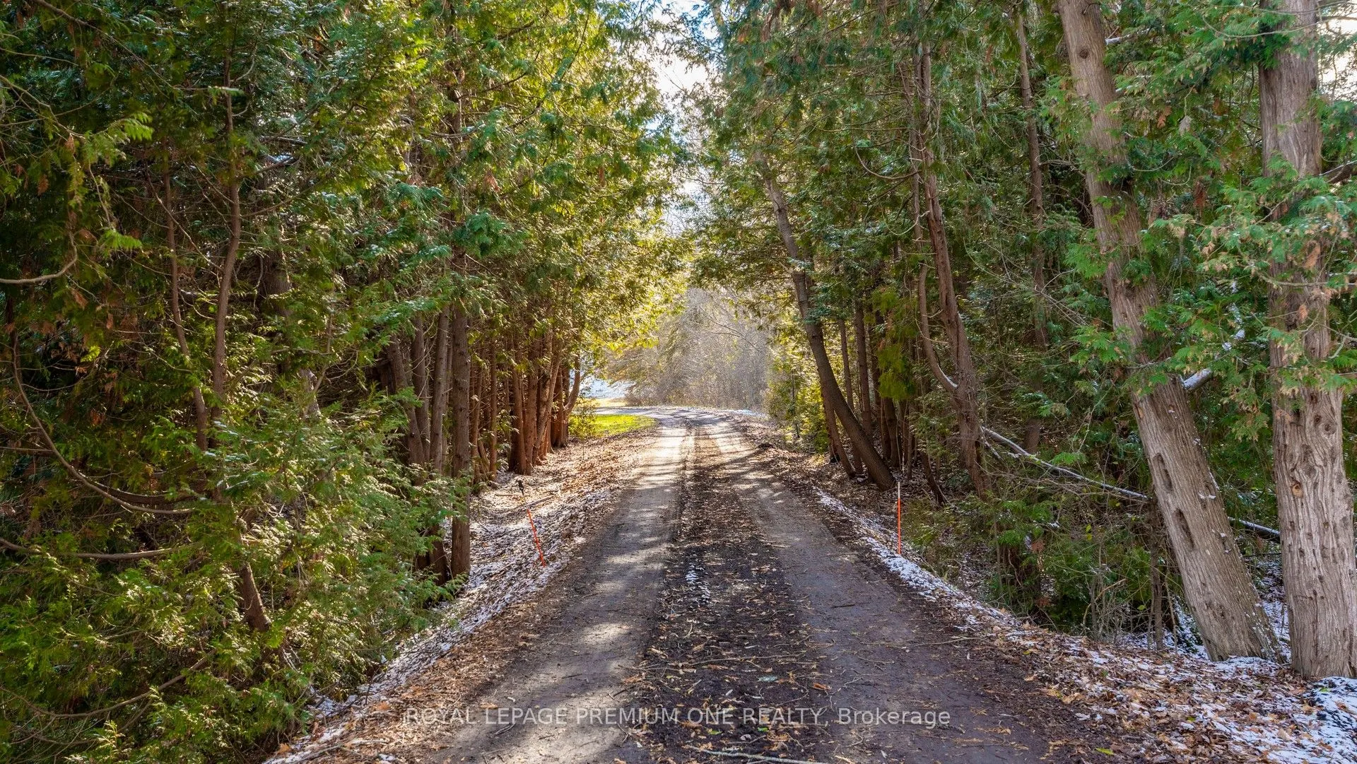 7590 19th Side Road