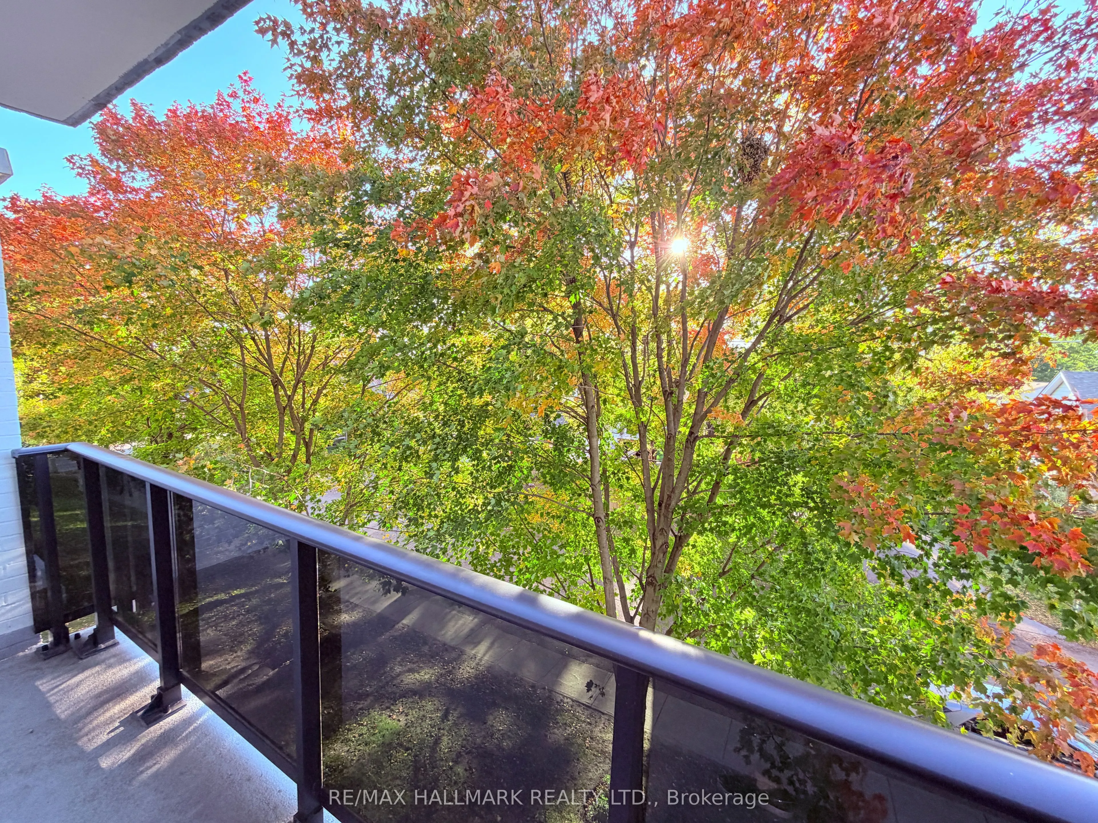 7 Albert Street #316