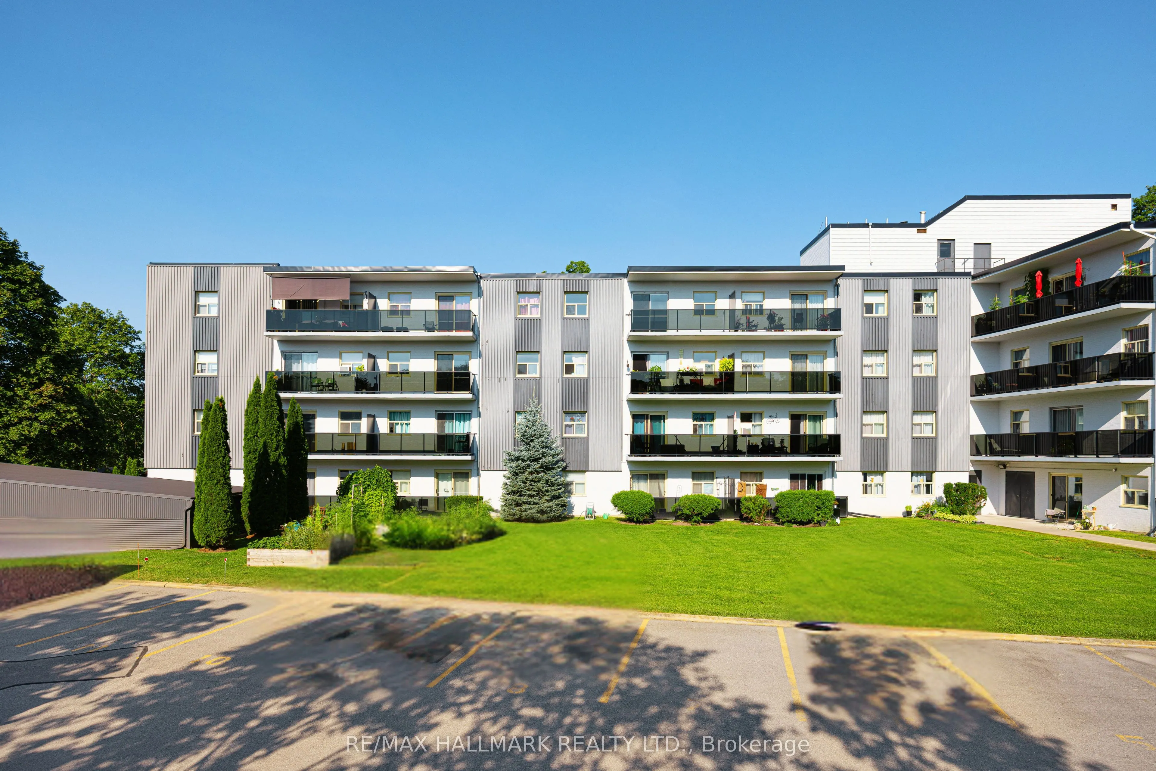 7 Albert Street #316