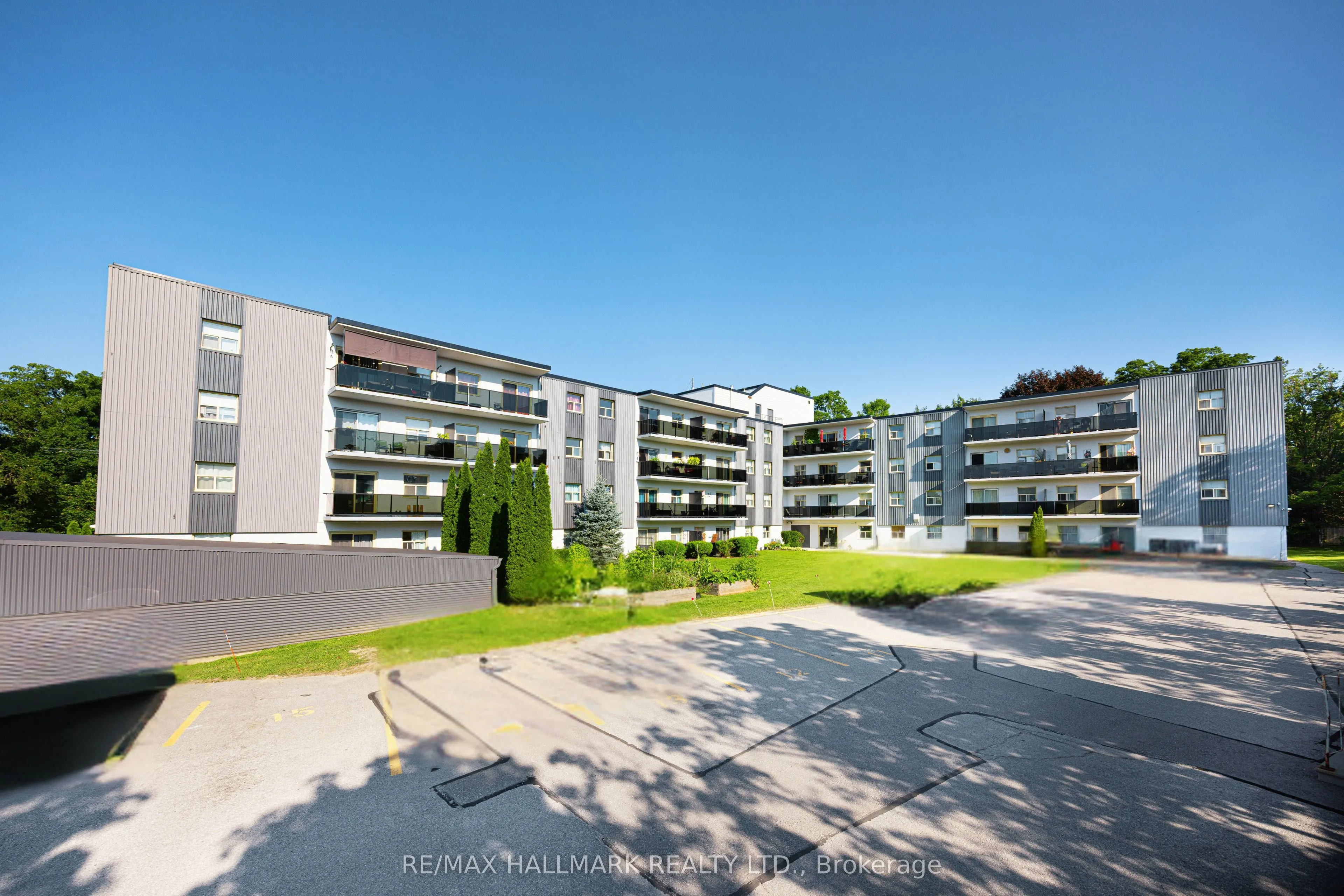 7 Albert Street #316