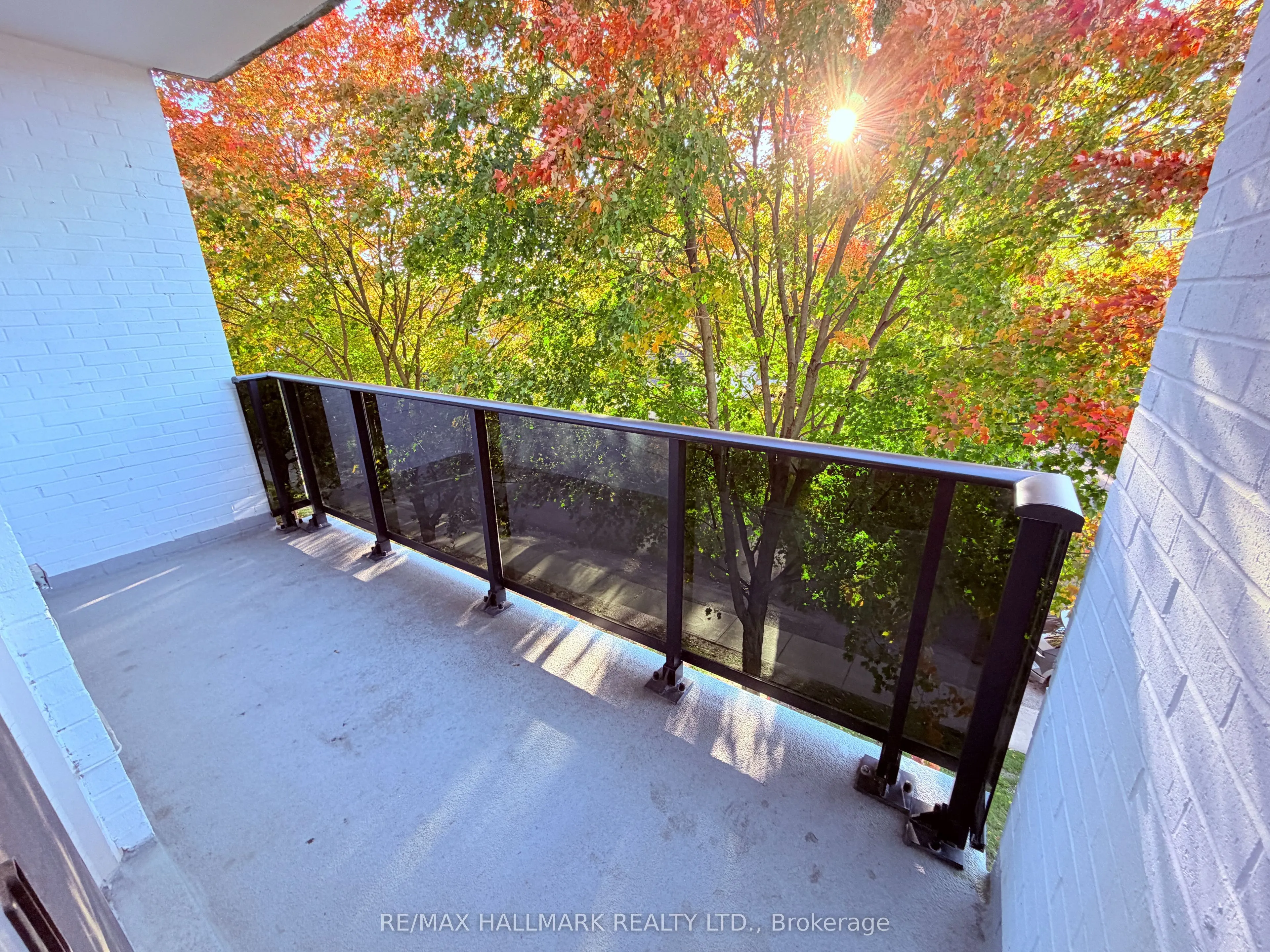 7 Albert Street #316