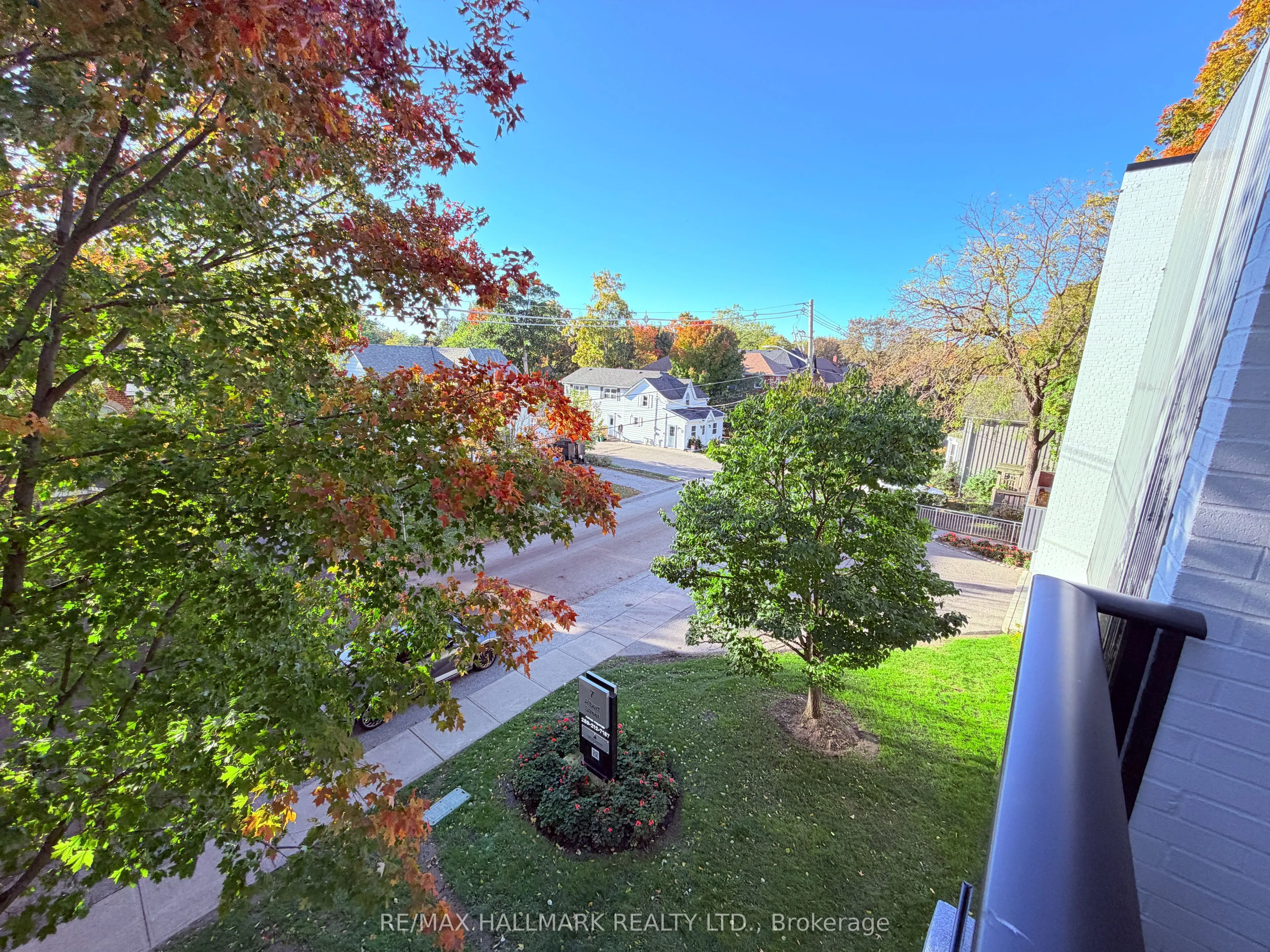 7 Albert Street #316