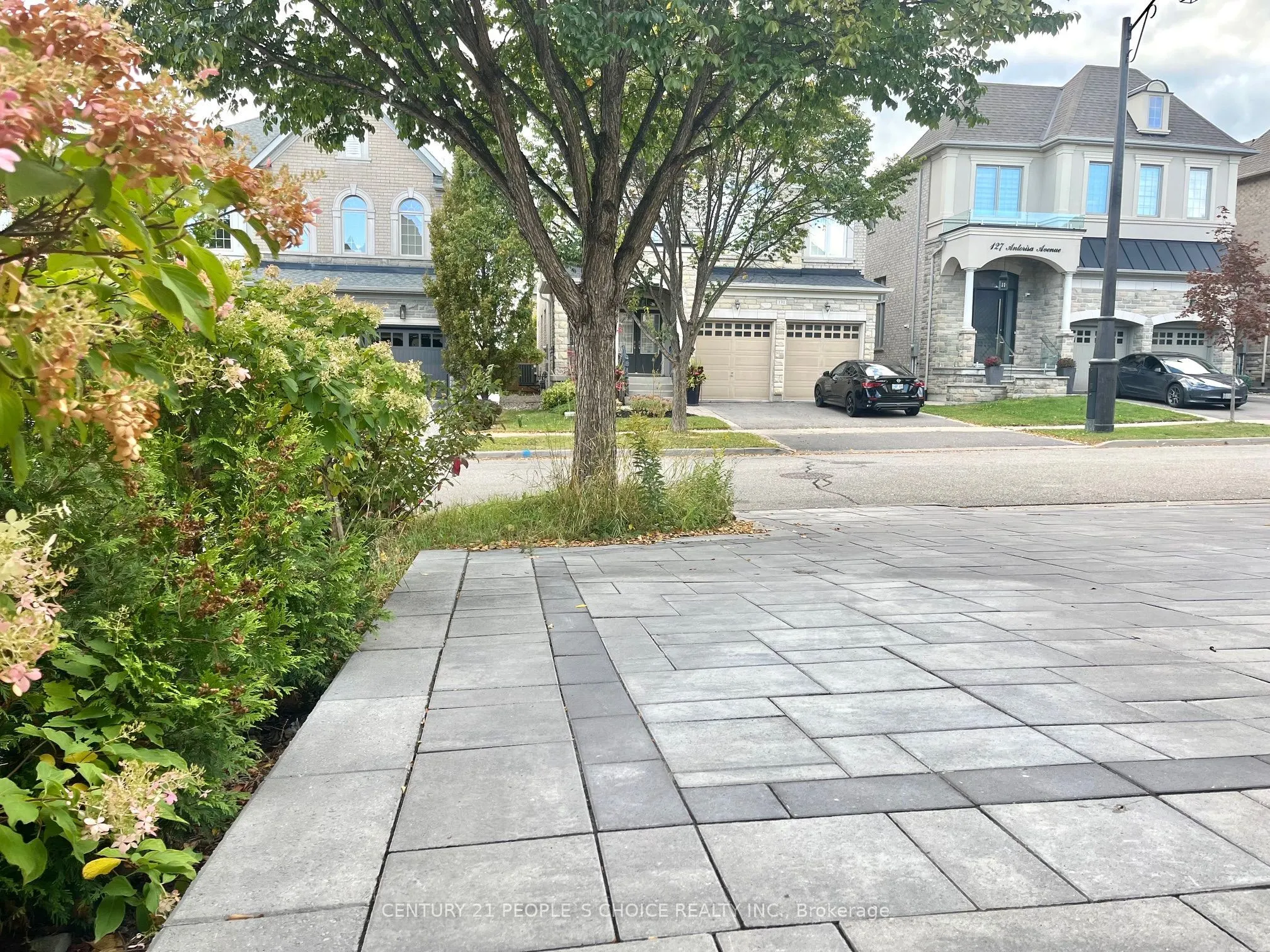 132 Antorisa Avenue #Bsmt