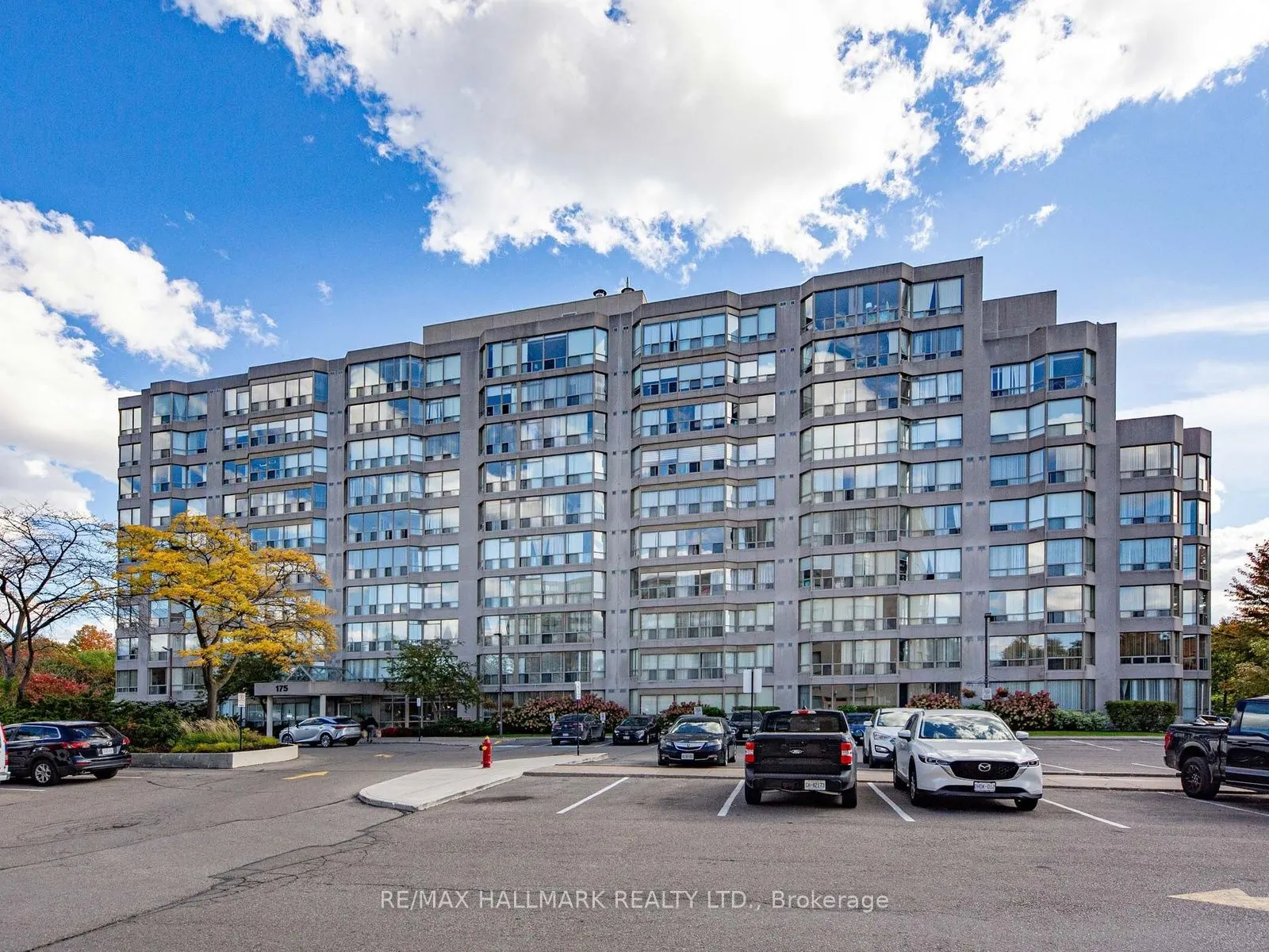 175 Cedar Avenue #309