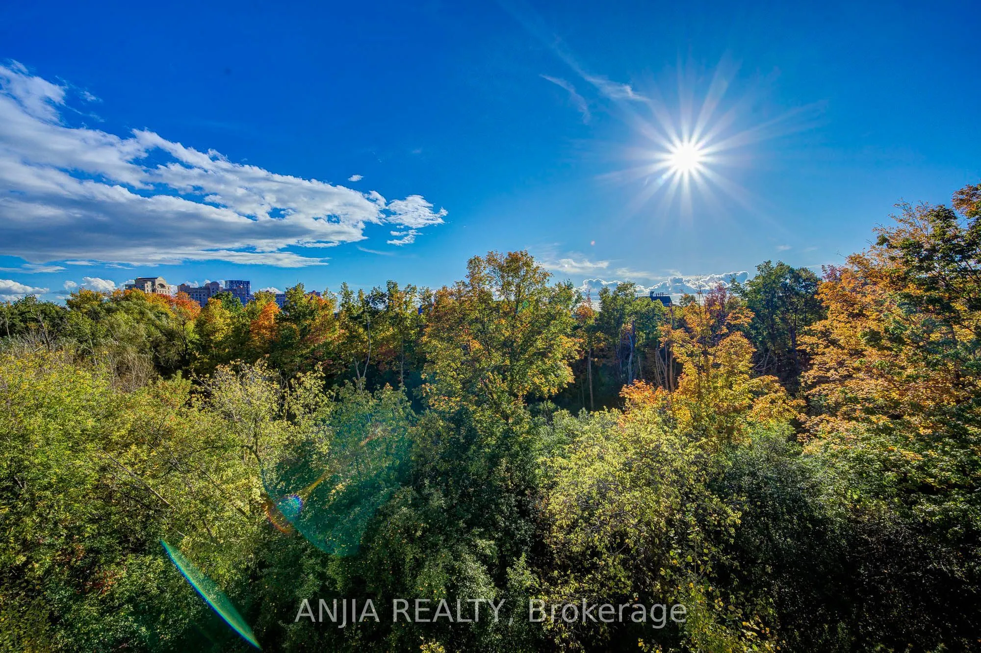 181 Parktree Drive #38