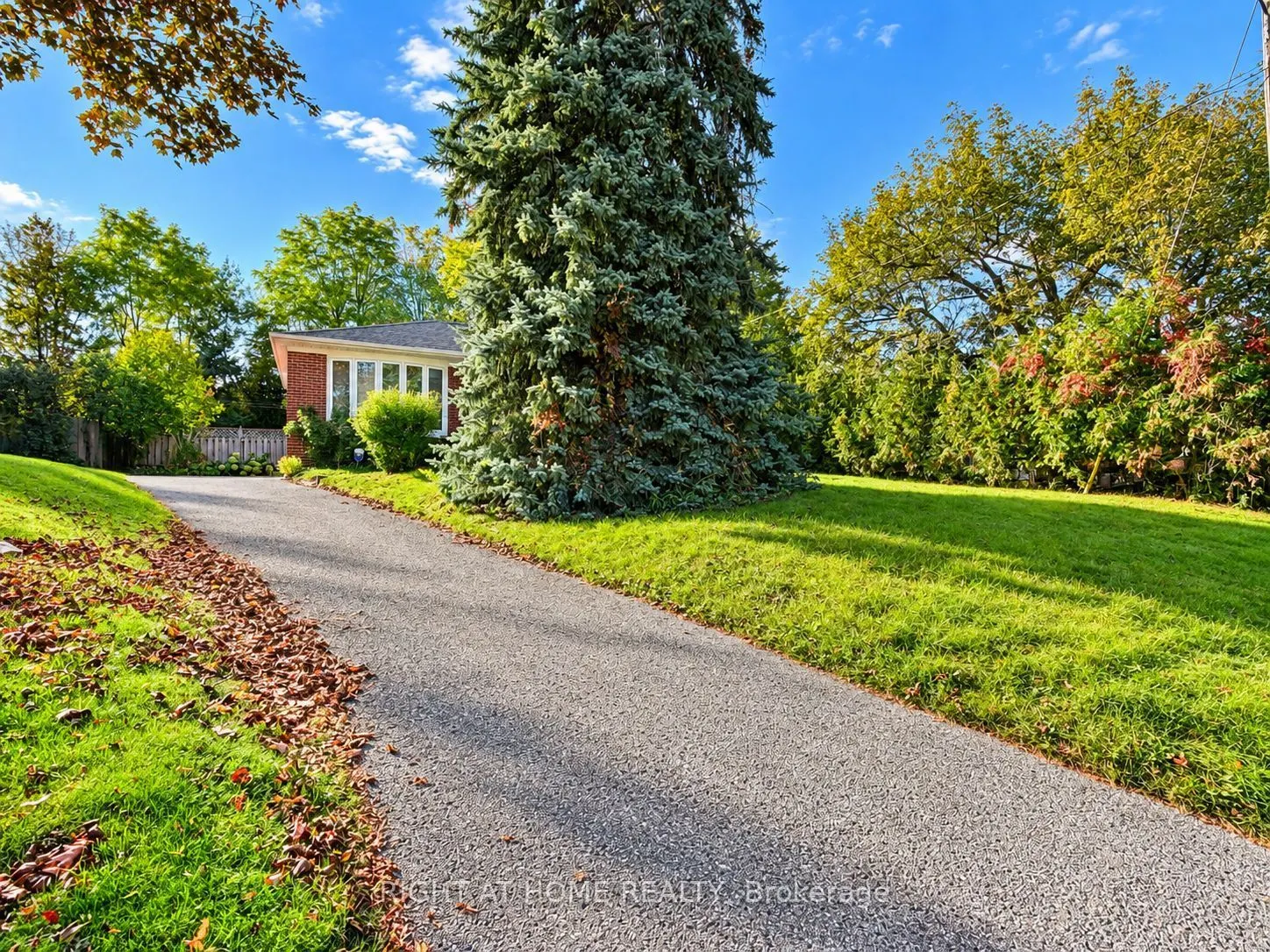 72 Monkswood Crescent #Basement