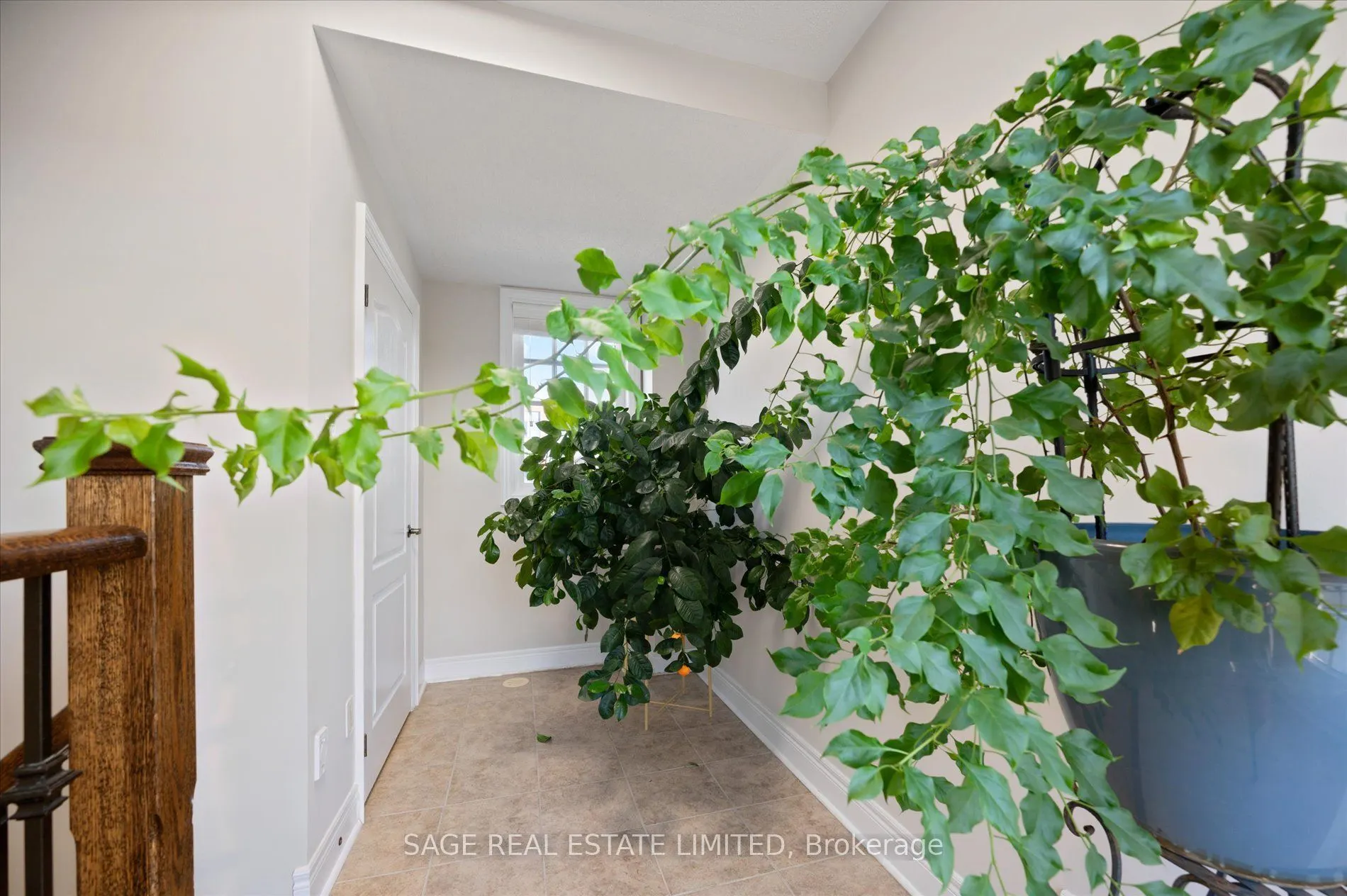 19 Roseberry Road