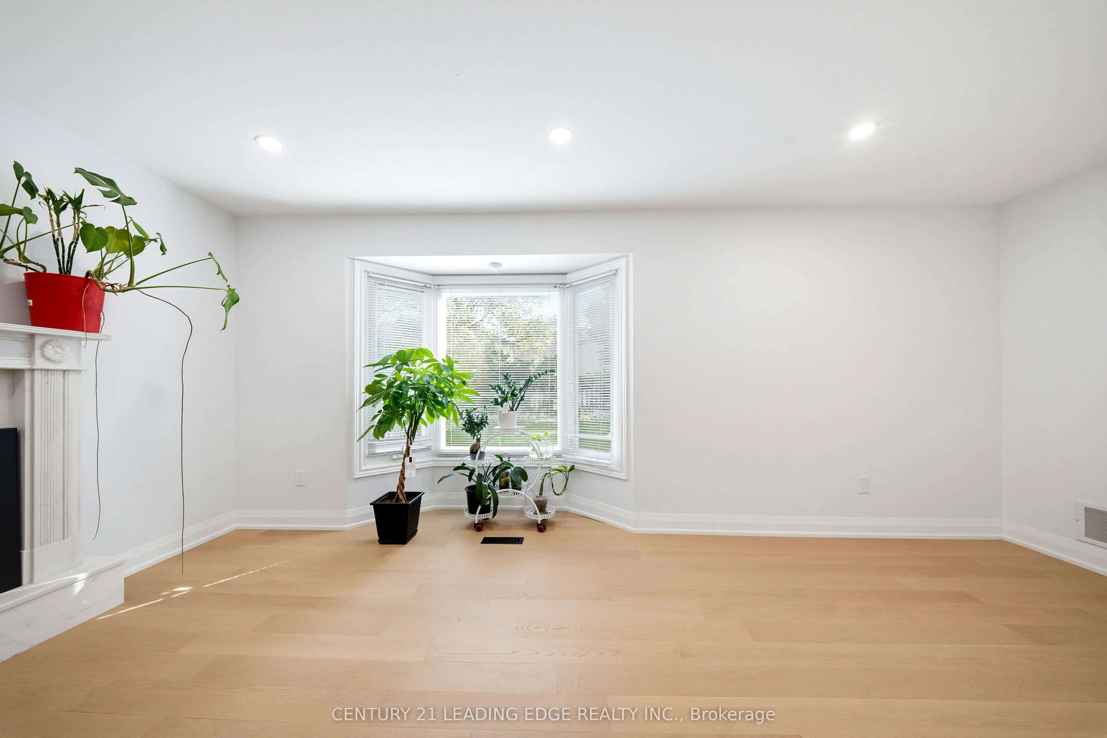 8 Mooreland Court
