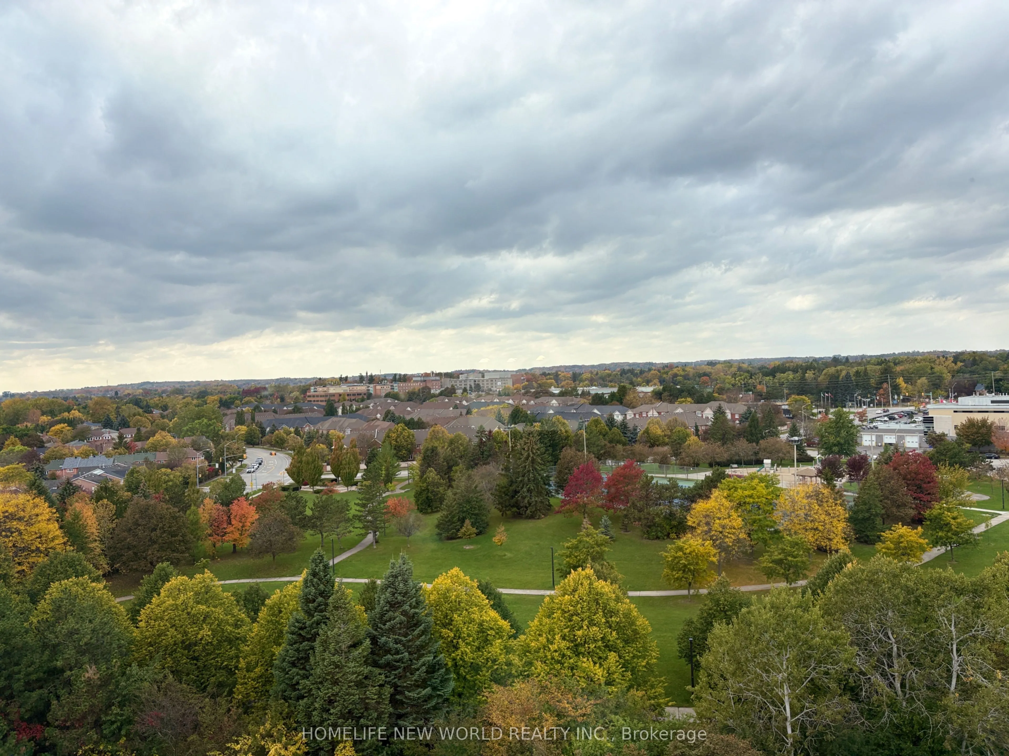 40 Harding Boulevard #1117