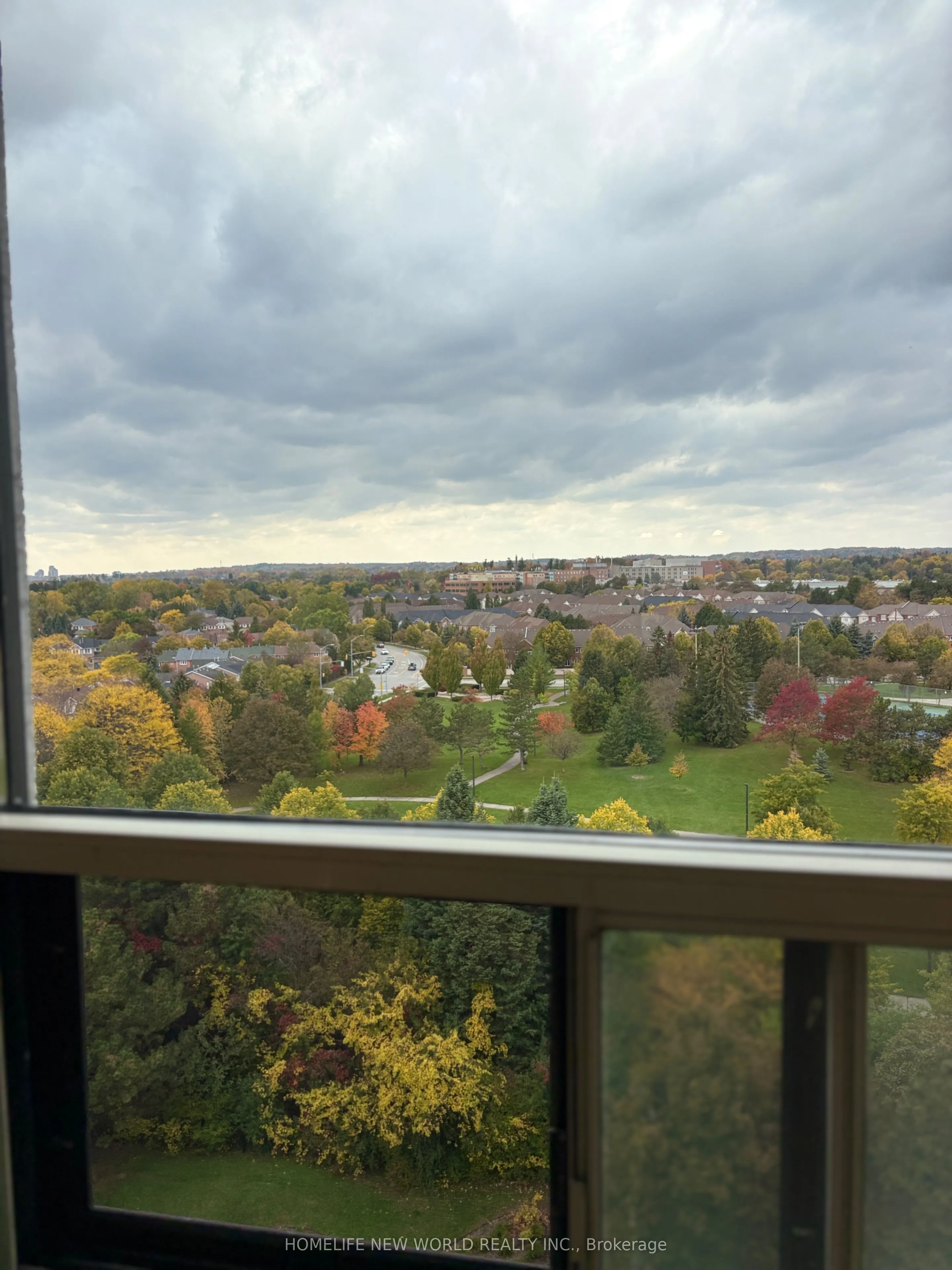 40 Harding Boulevard #1117