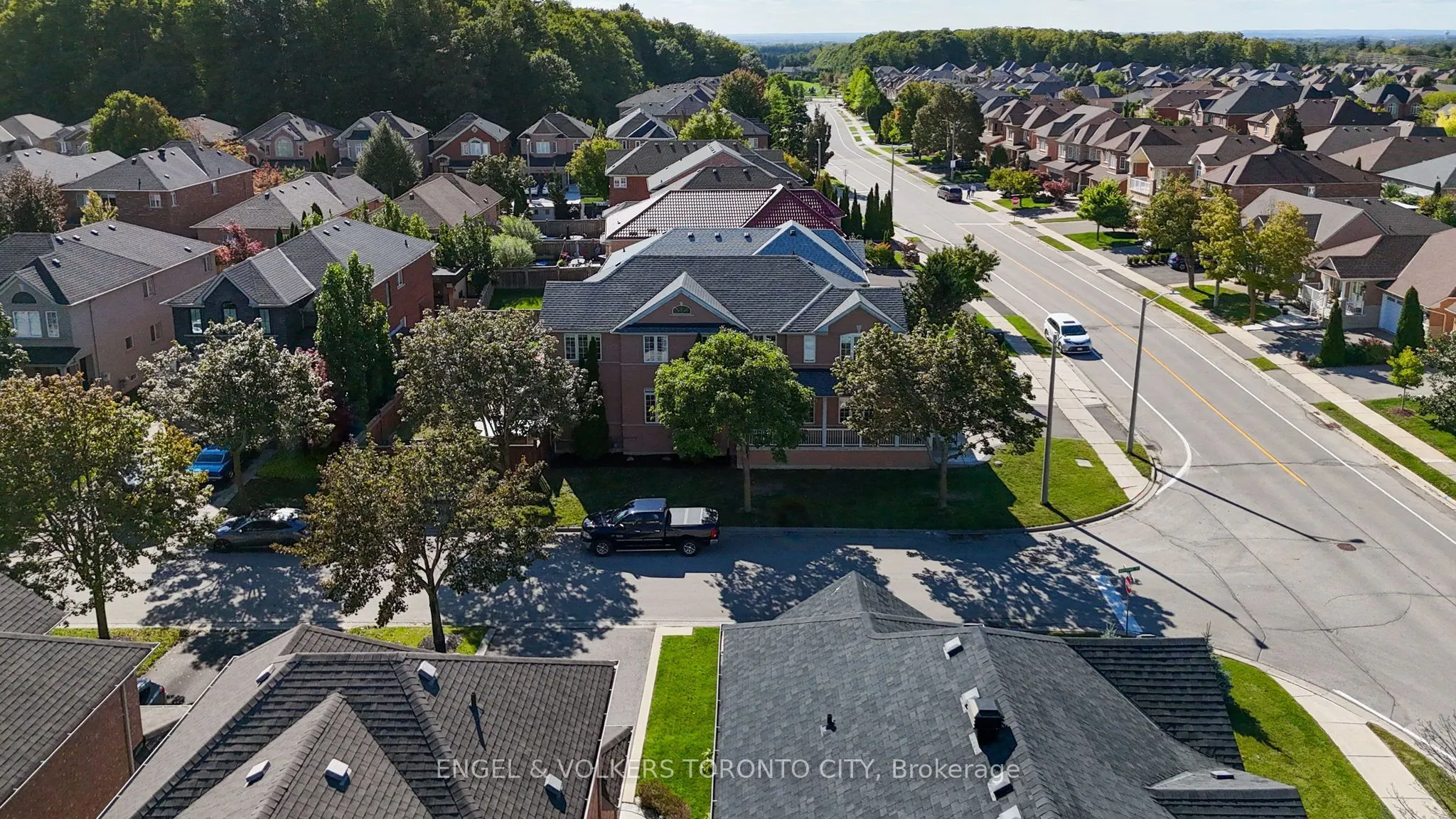 311 Maria Antonia Road