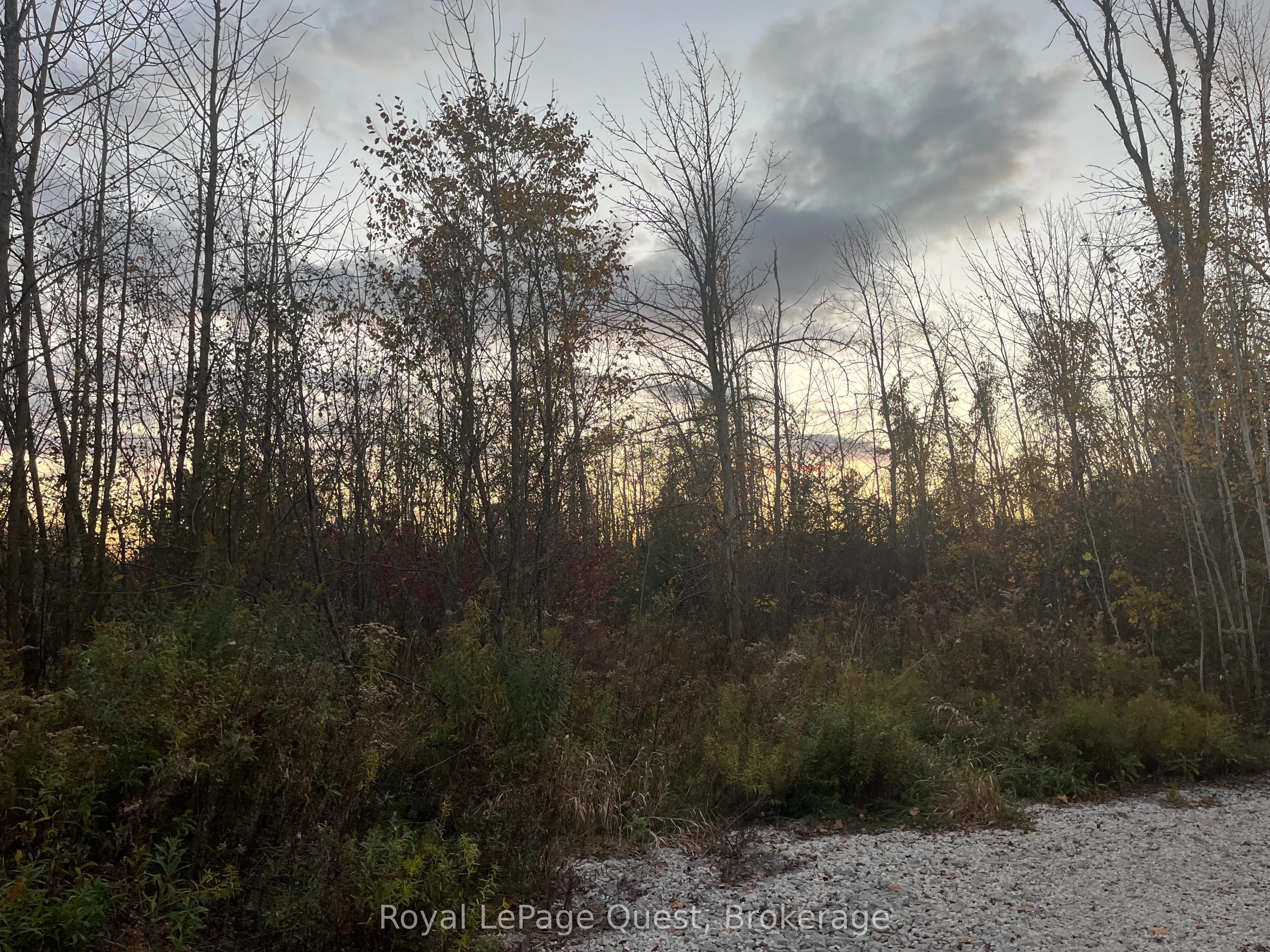 0 Park Rd Park