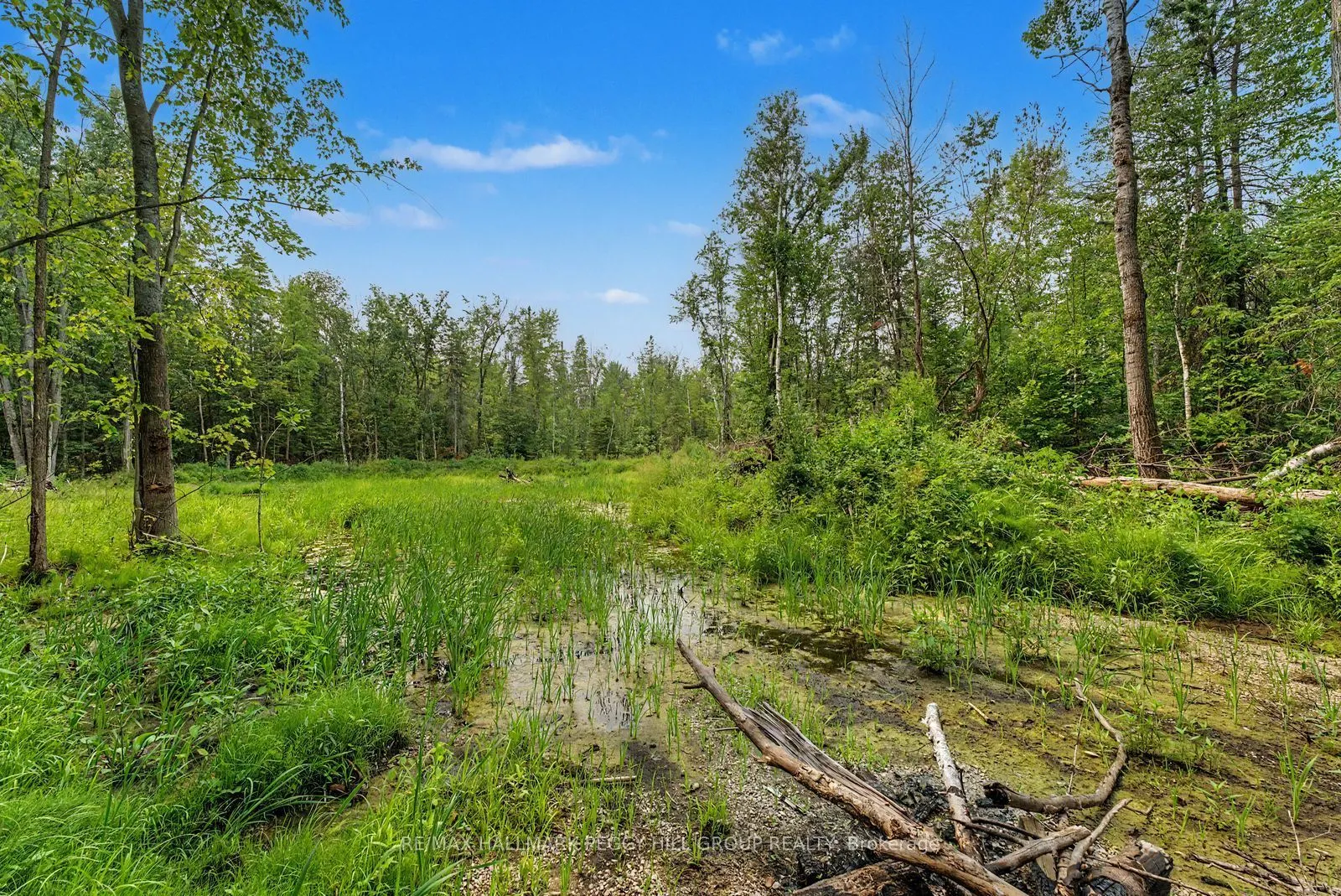 6905 County Road 21