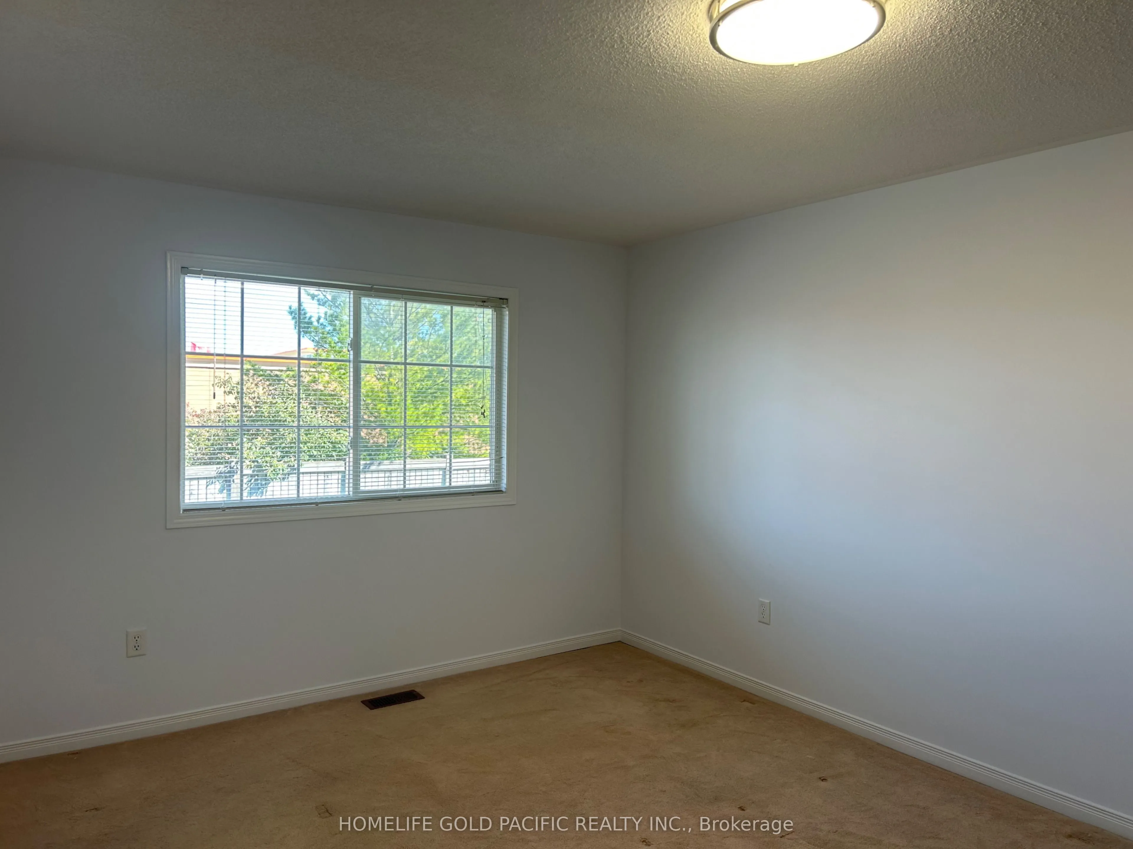 219 Hammersly Boulevard