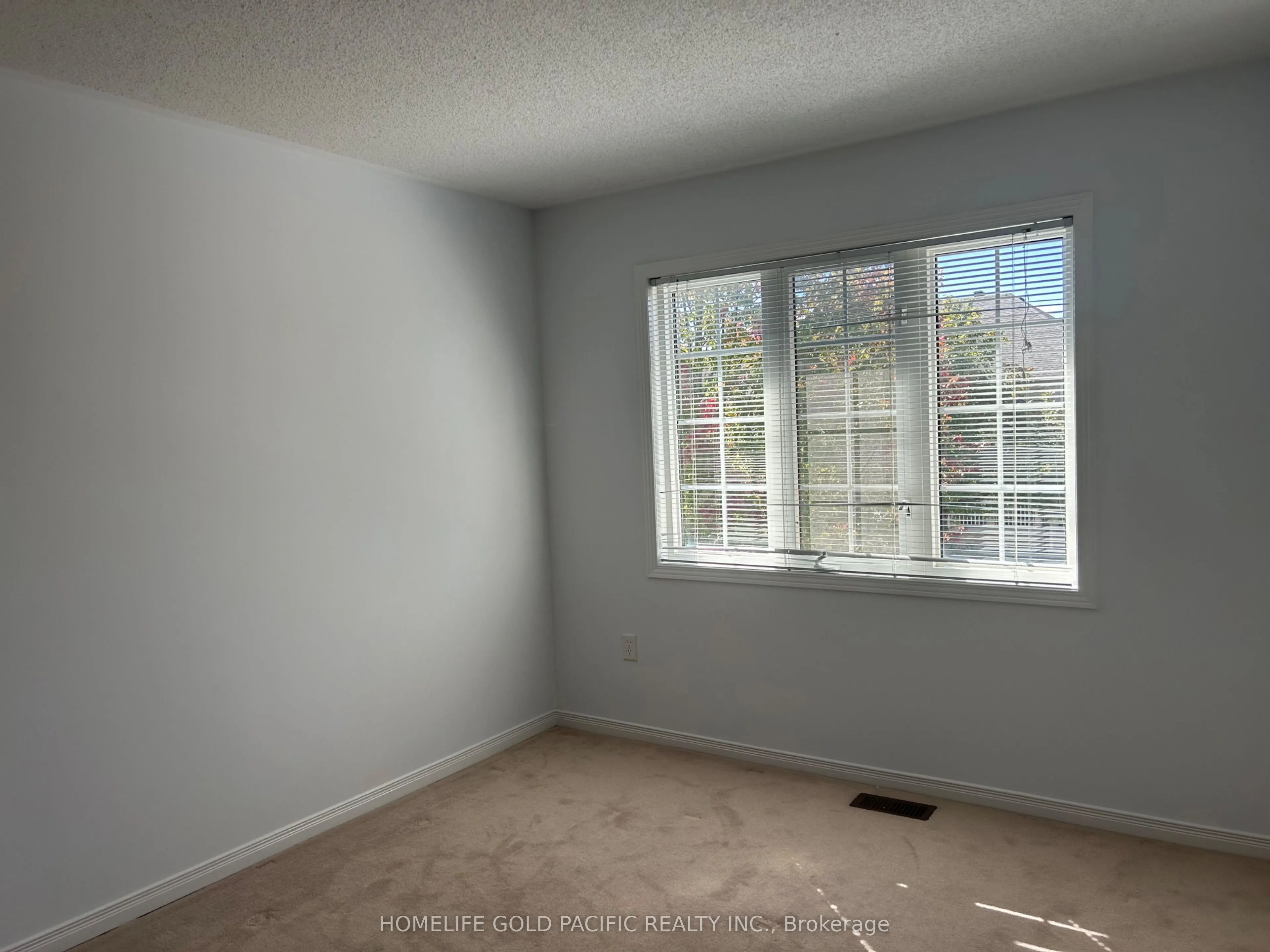 219 Hammersly Boulevard