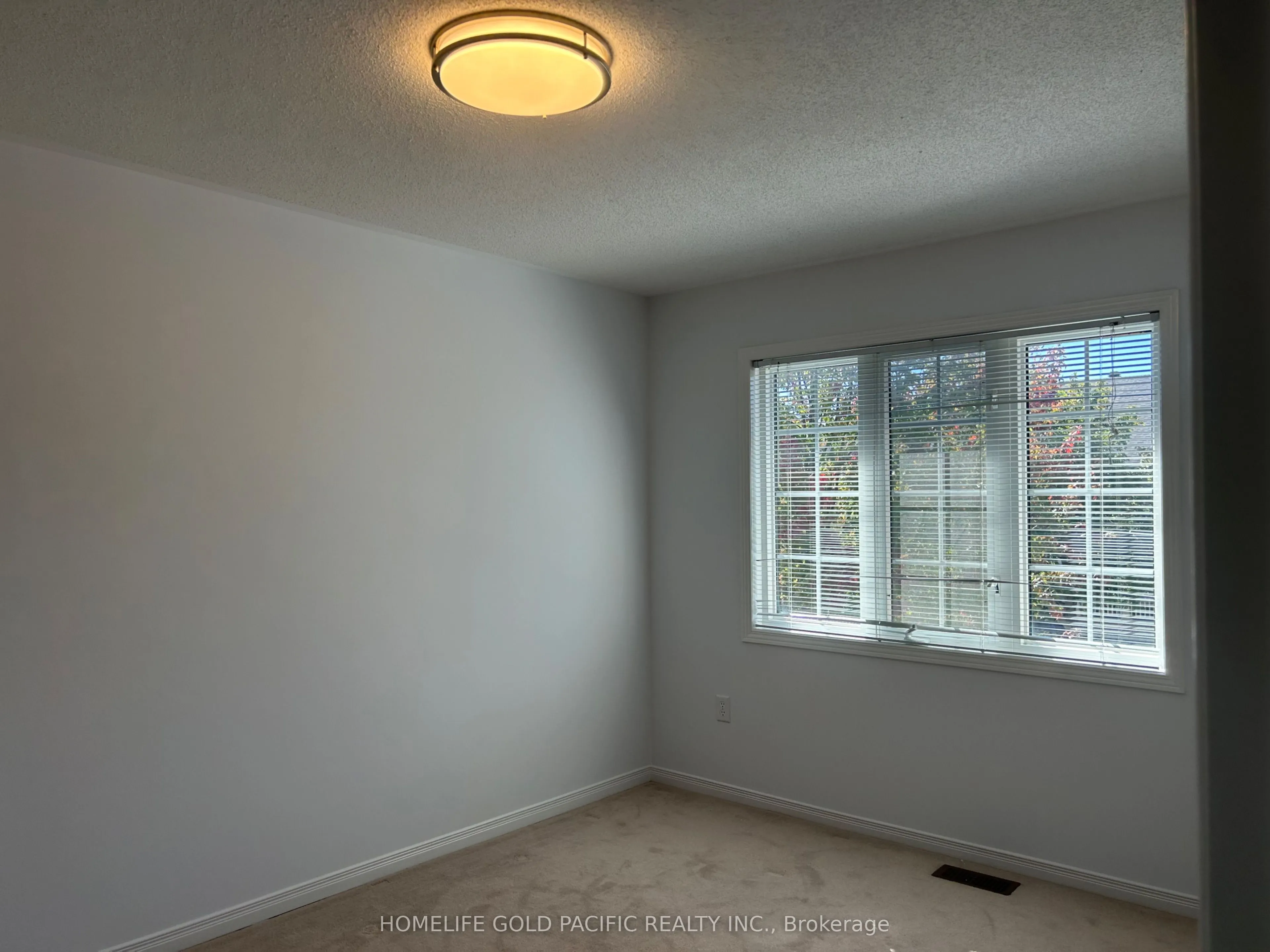 219 Hammersly Boulevard