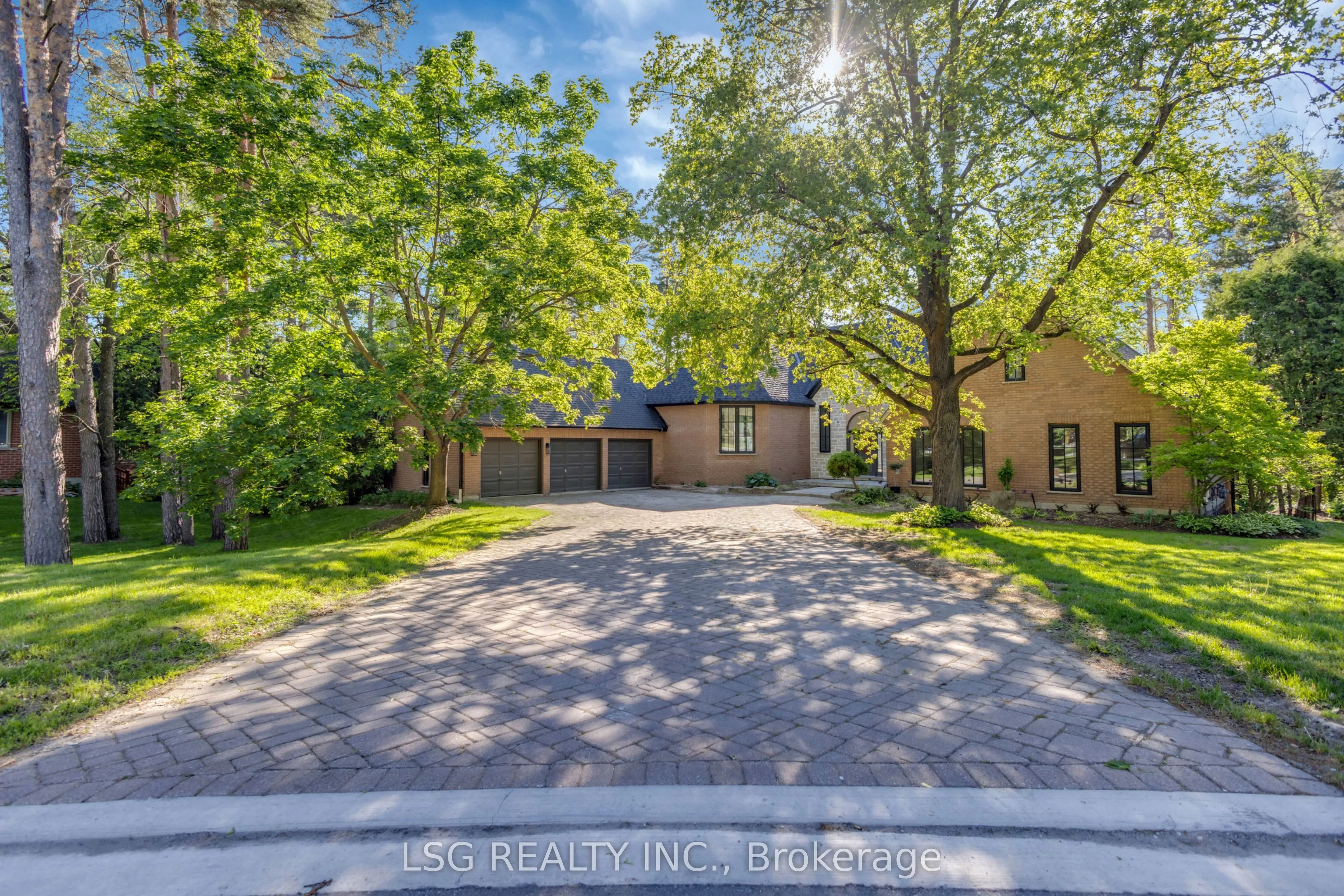 5 Williamson Terrace #Basement