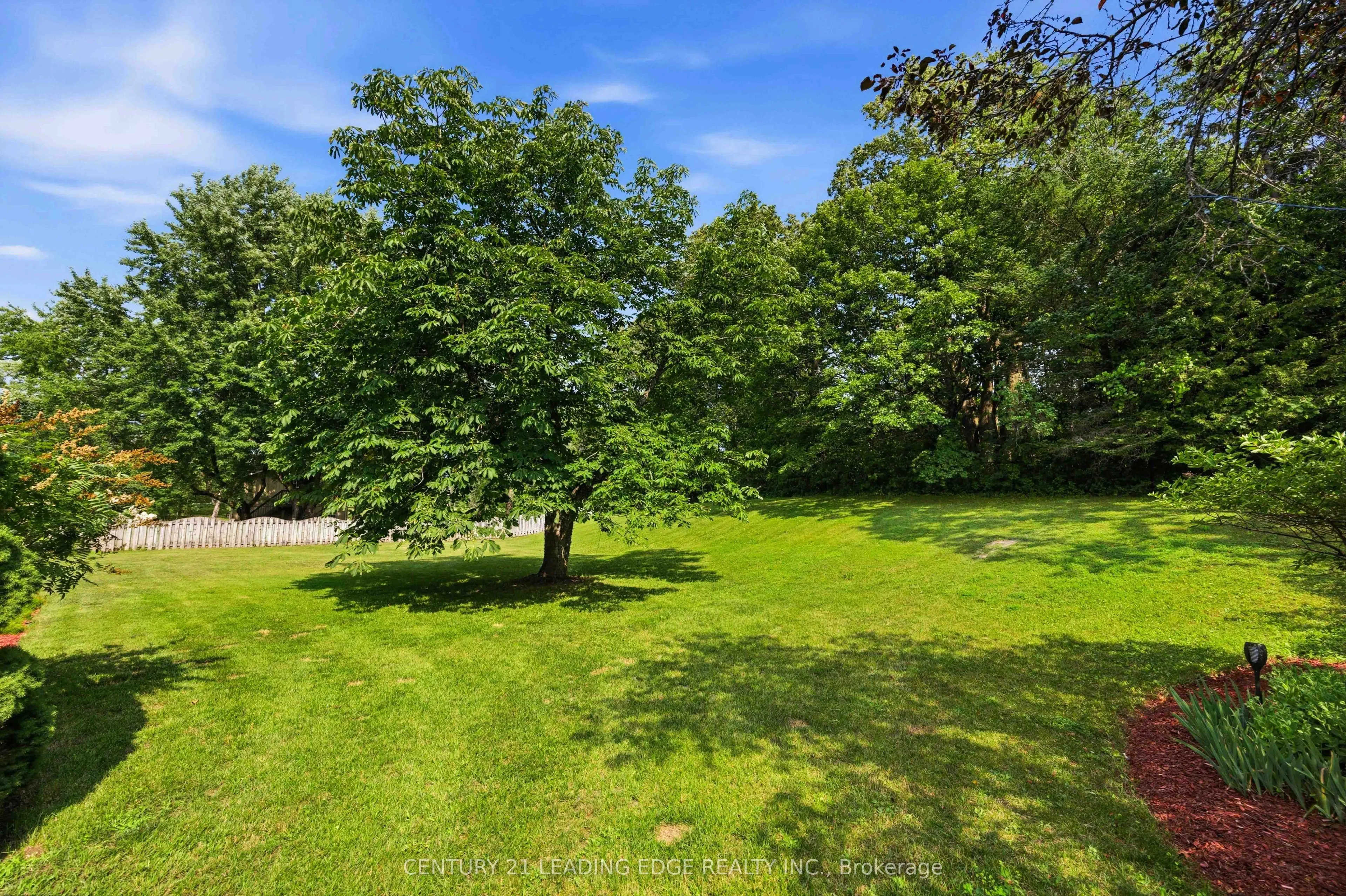 7 Alta Drive