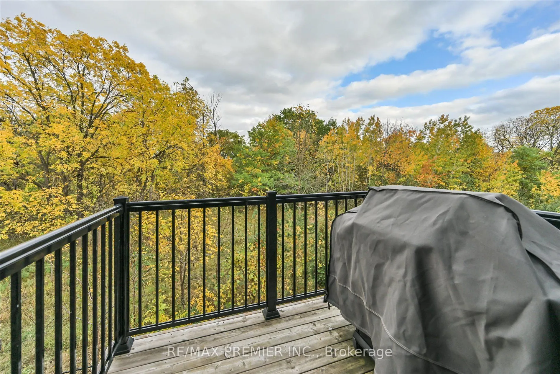 86 Golden Trail