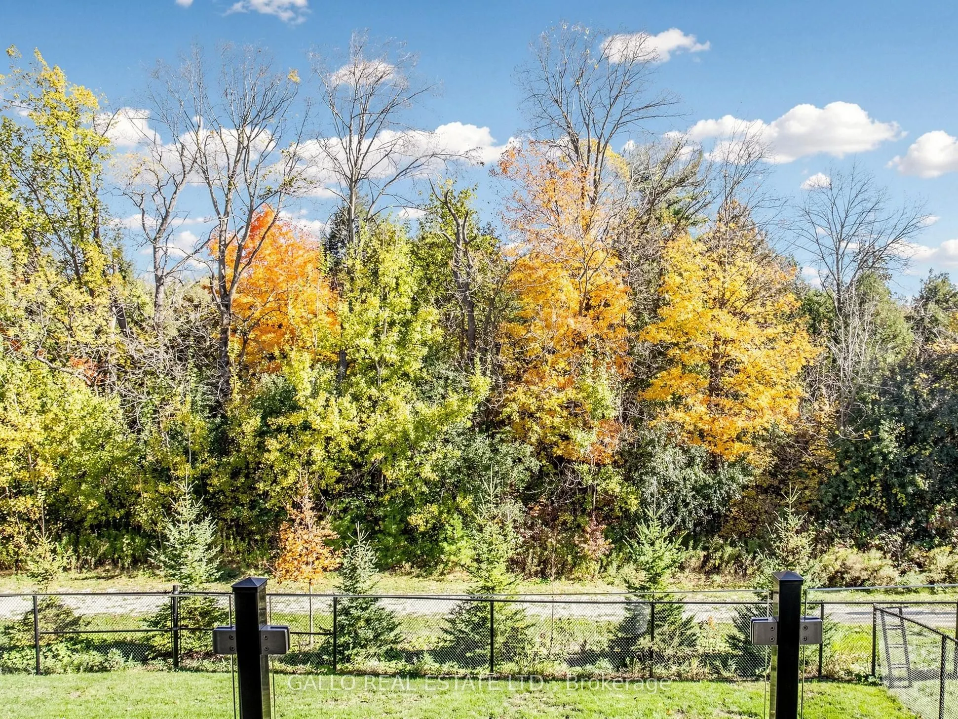 187 Steam Whistle Drive