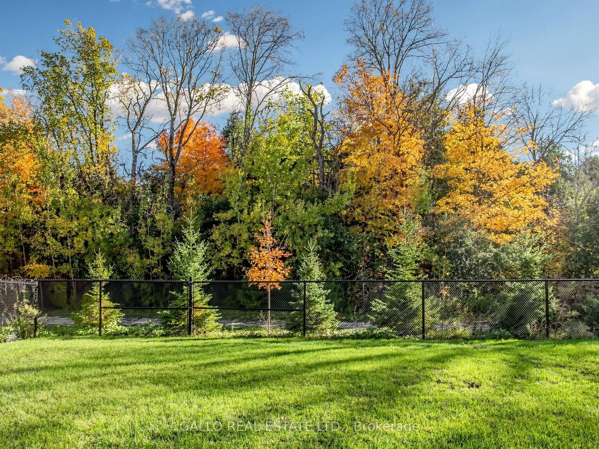 187 Steam Whistle Drive