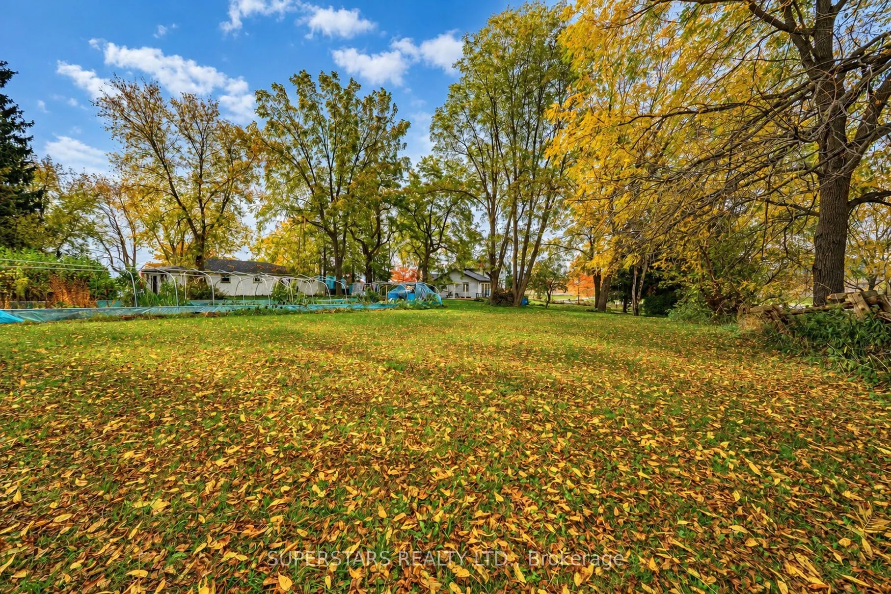 17450 Bathurst Street