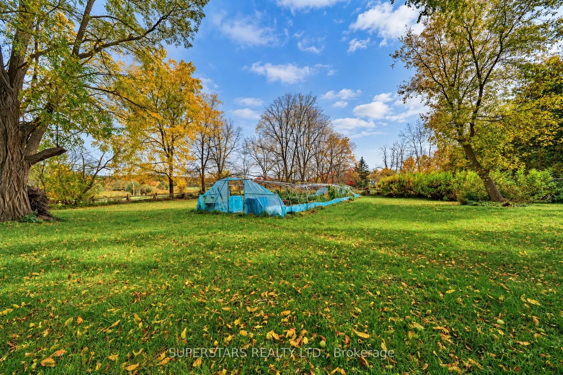 17450 Bathurst Street