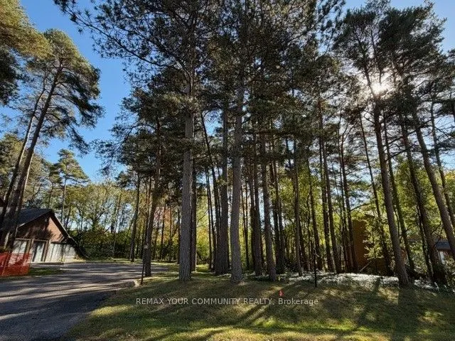 34B Cynthia Crescent