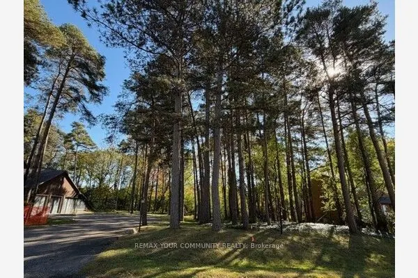 34B Cynthia Crescent
