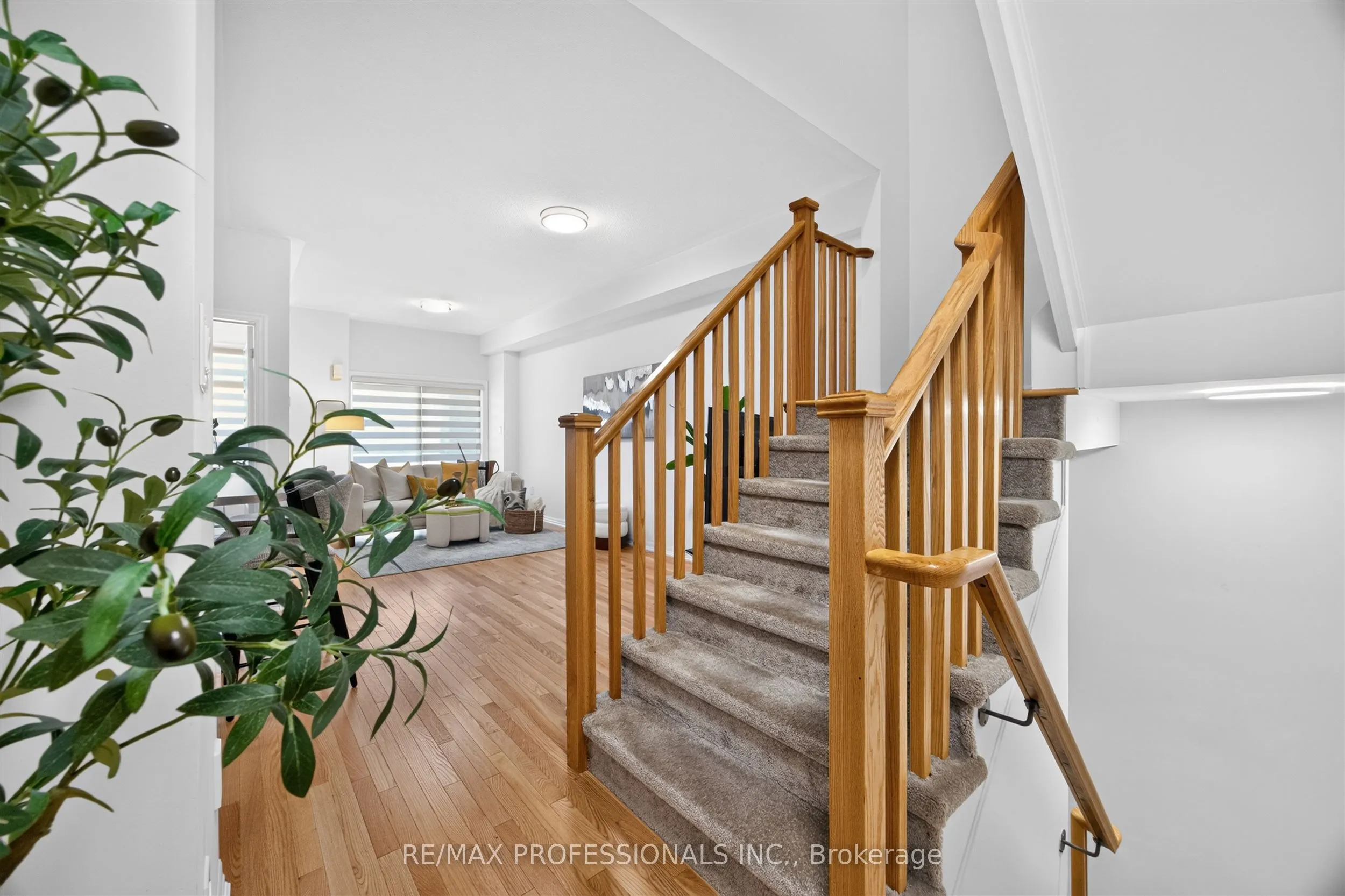 5 Delano Way